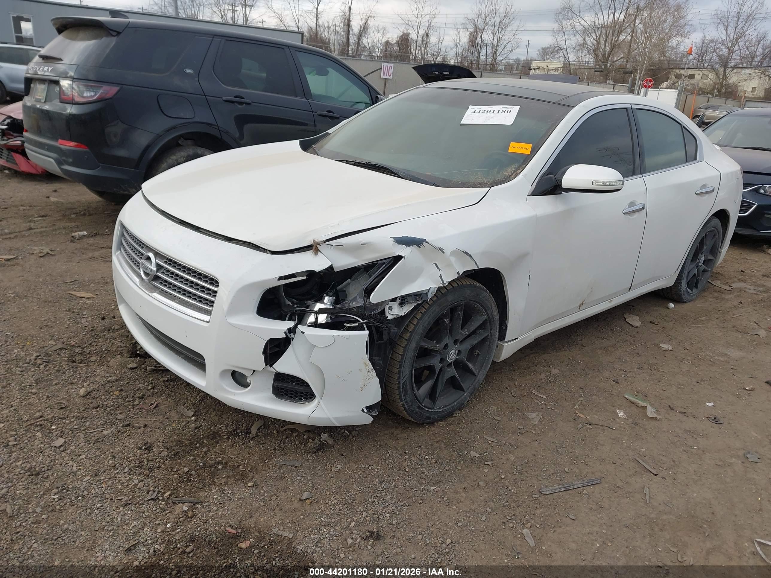 NISSAN MAXIMA image 2