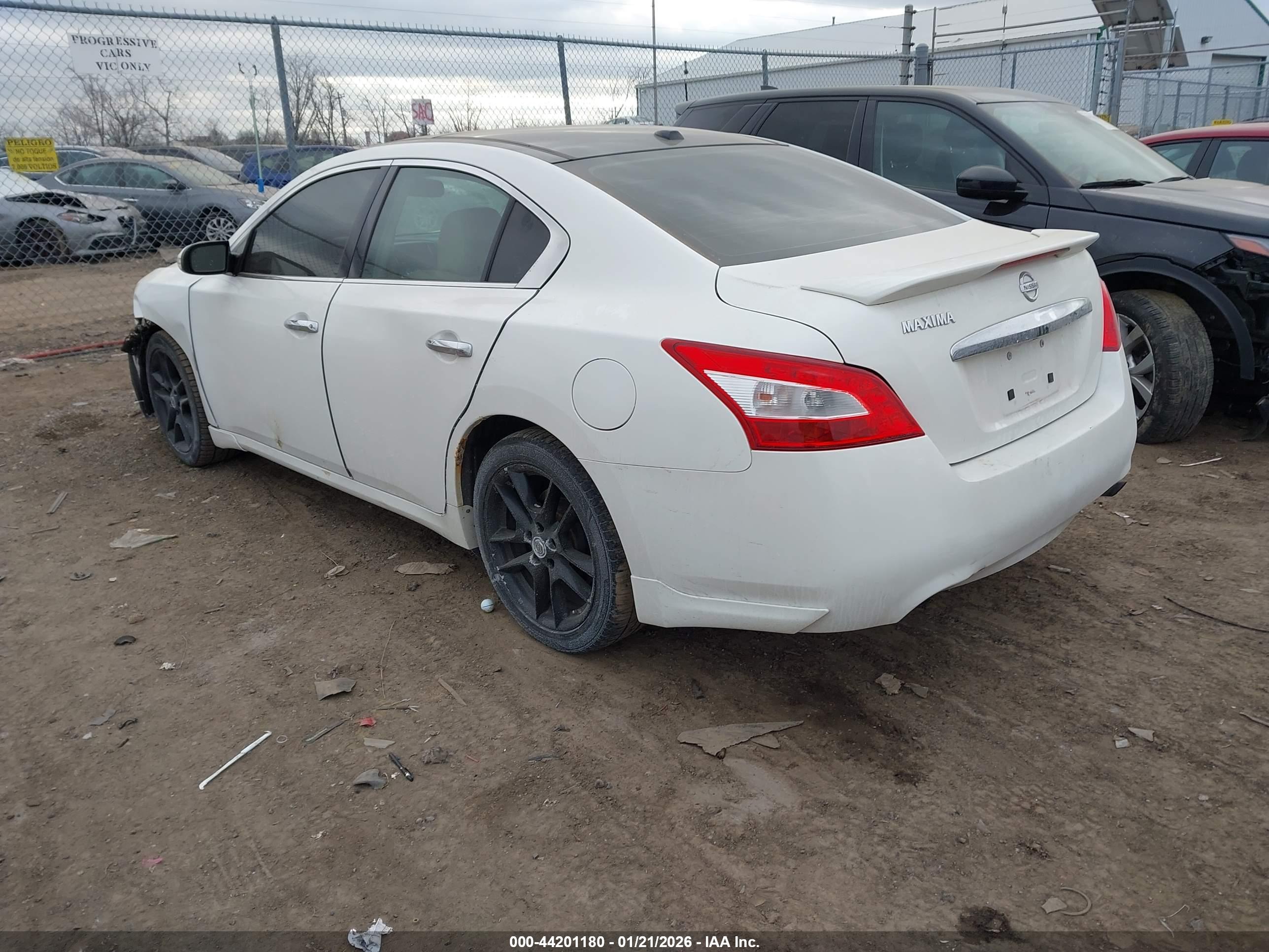 NISSAN MAXIMA image 3