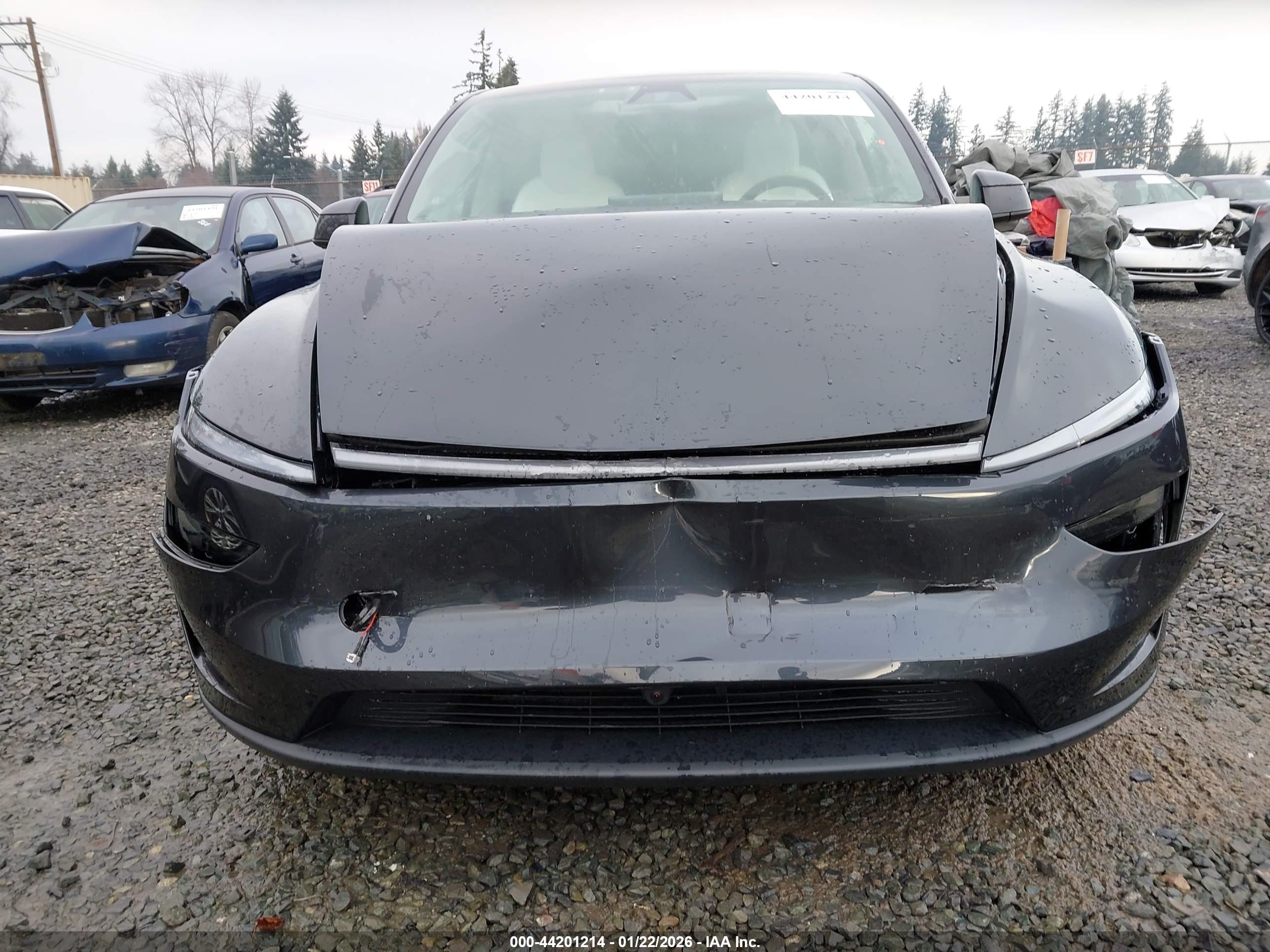 TESLA MODEL image 6
