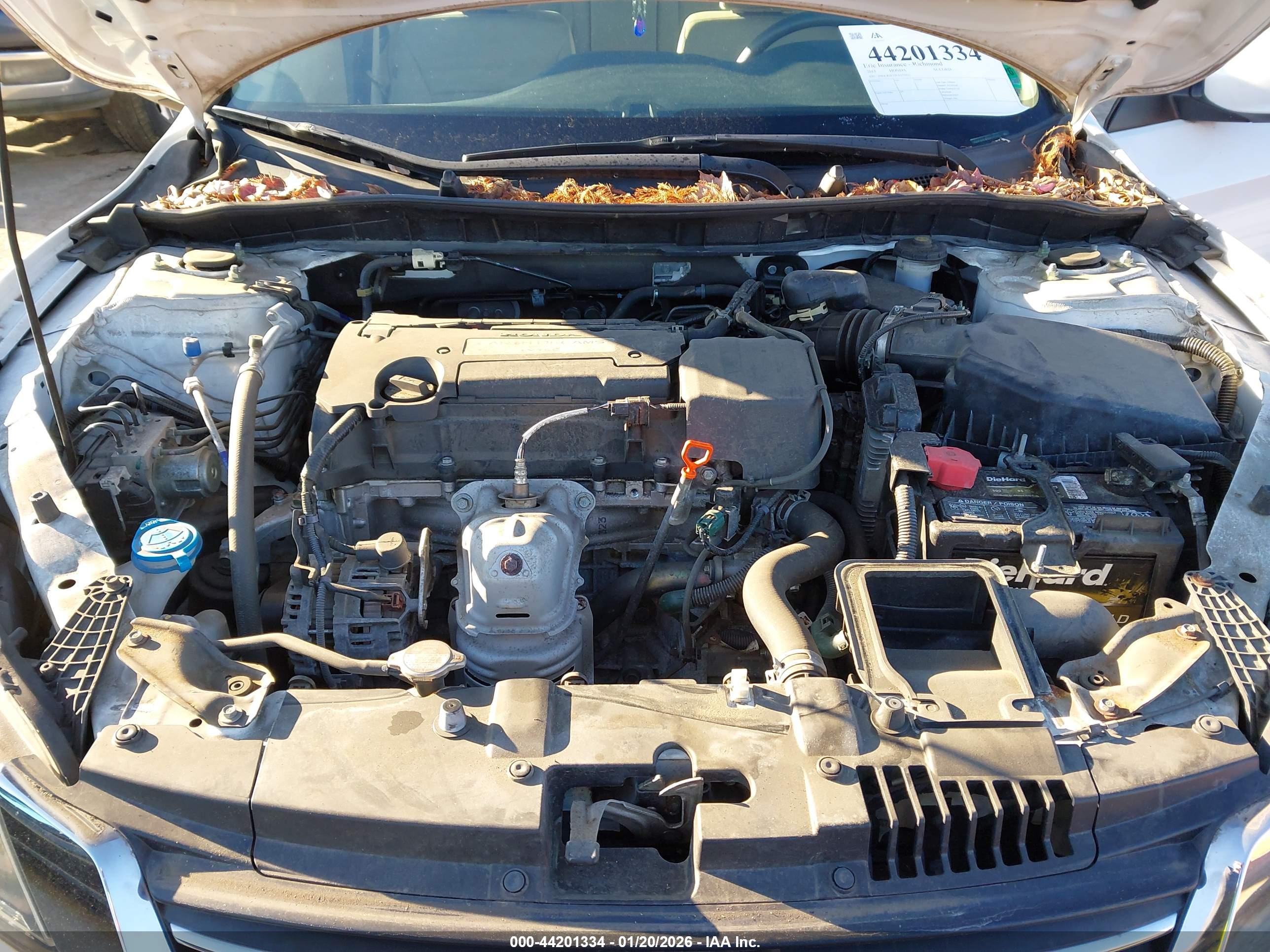 HONDA ACCORD image 10