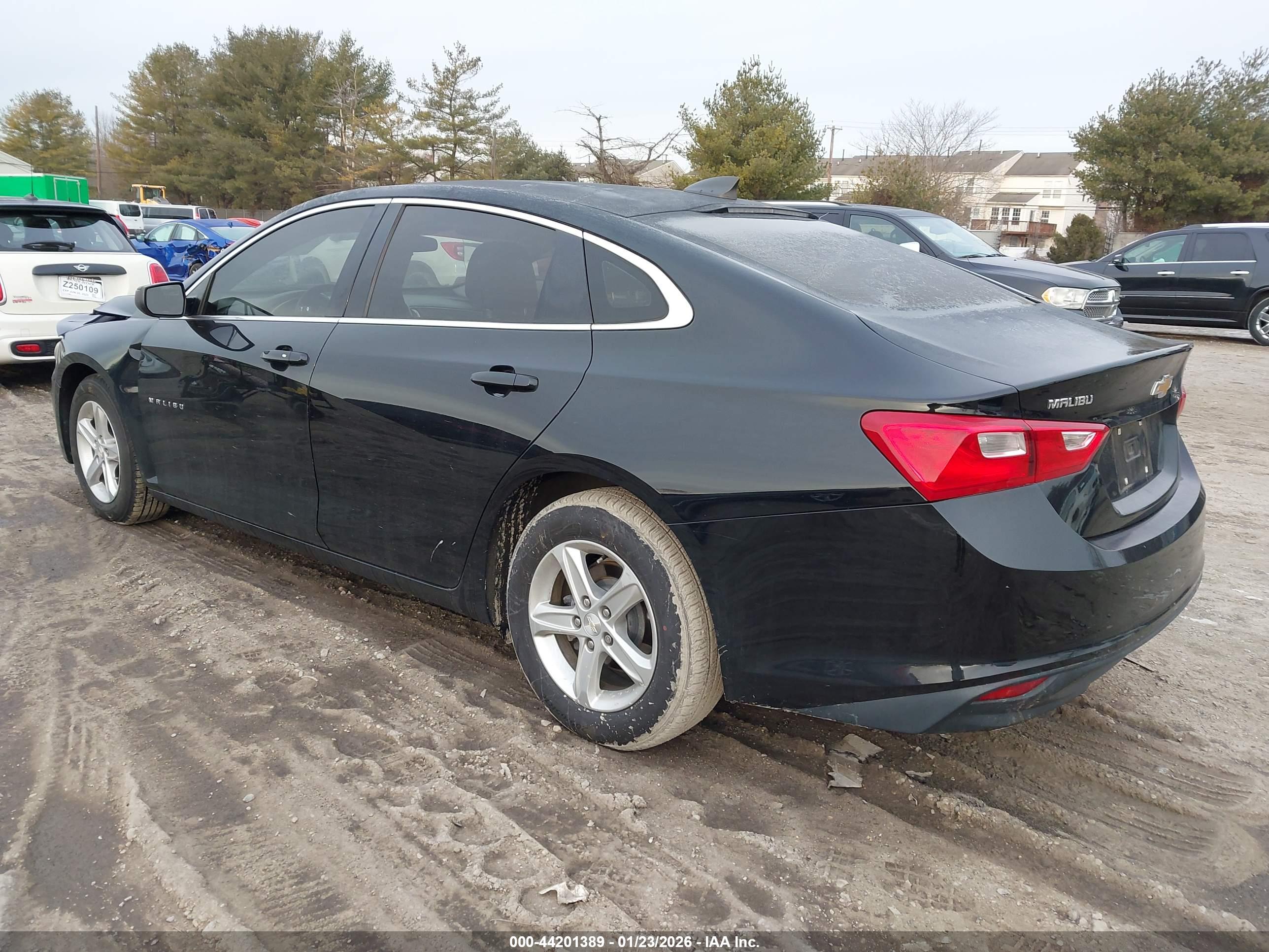 CHEVROLET MALIBU image 3