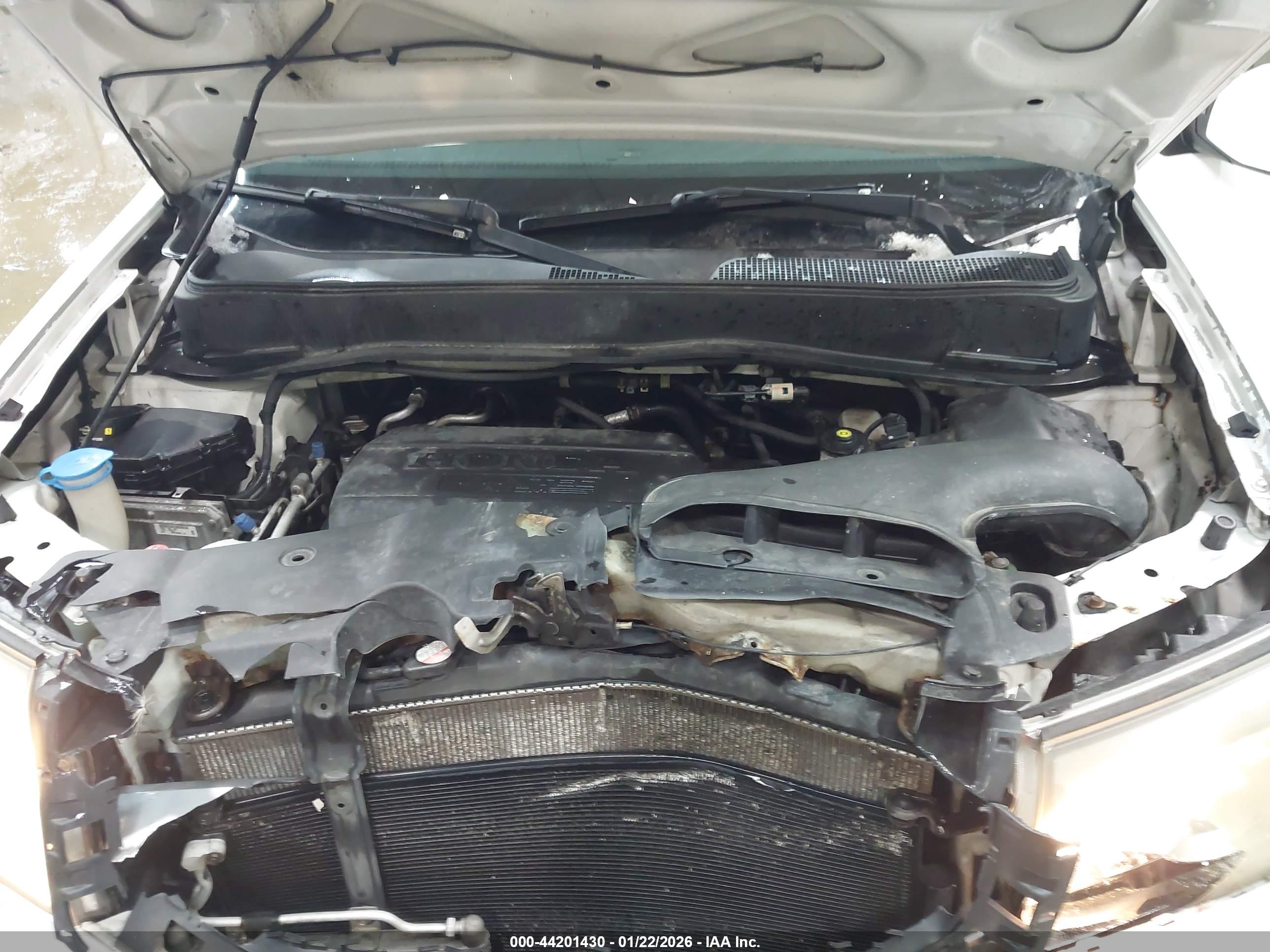 HONDA PILOT image 10