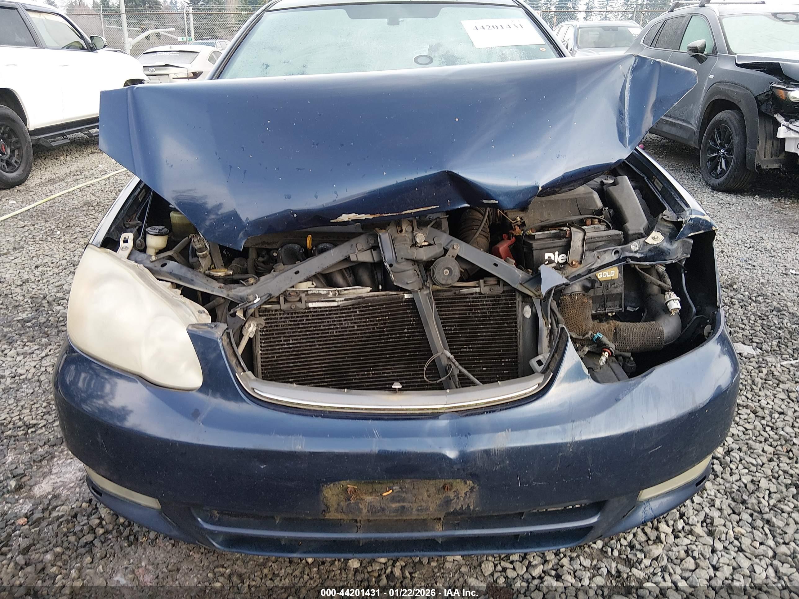 TOYOTA COROLLA image 6