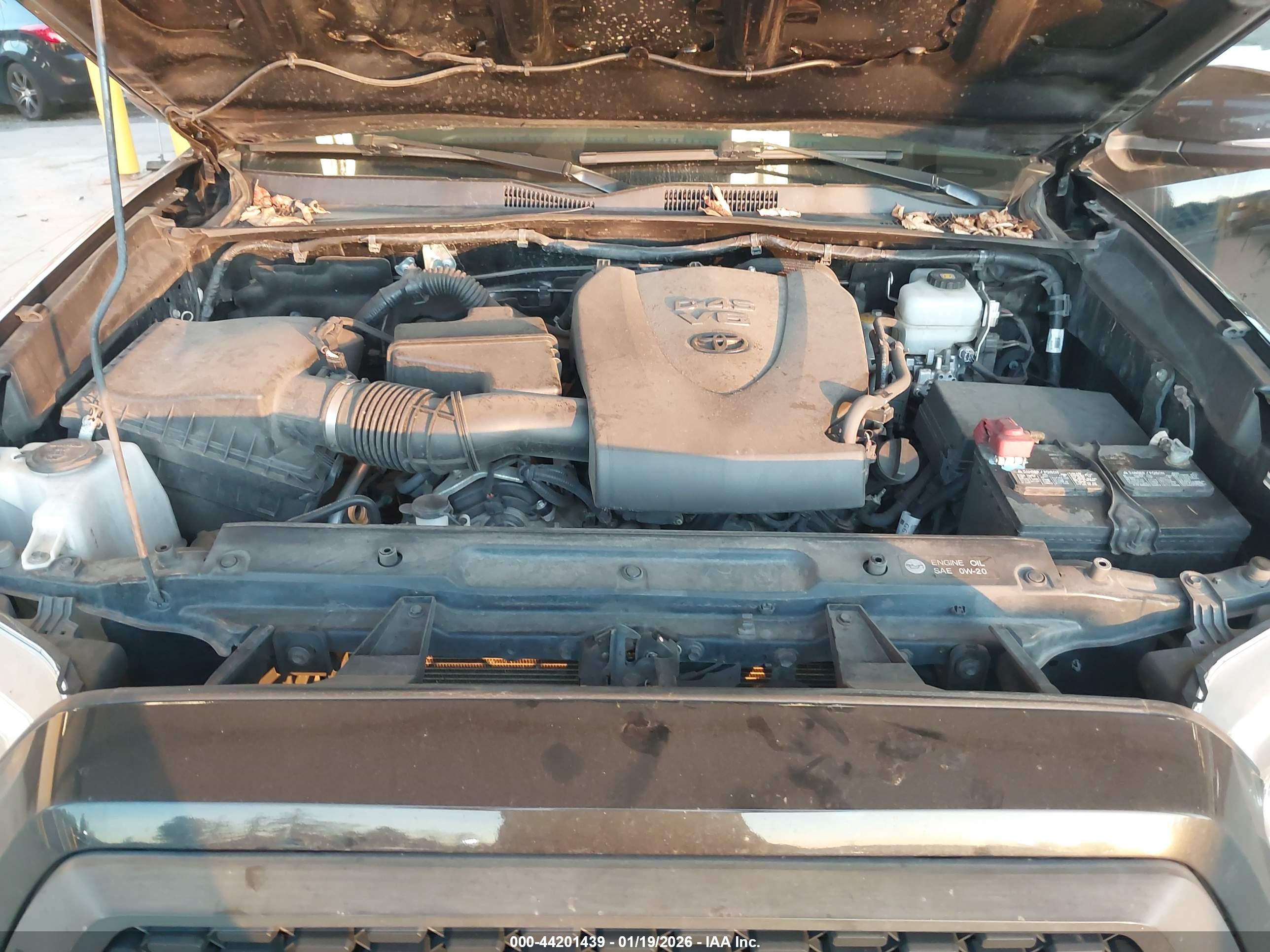 TOYOTA TACOMA image 10