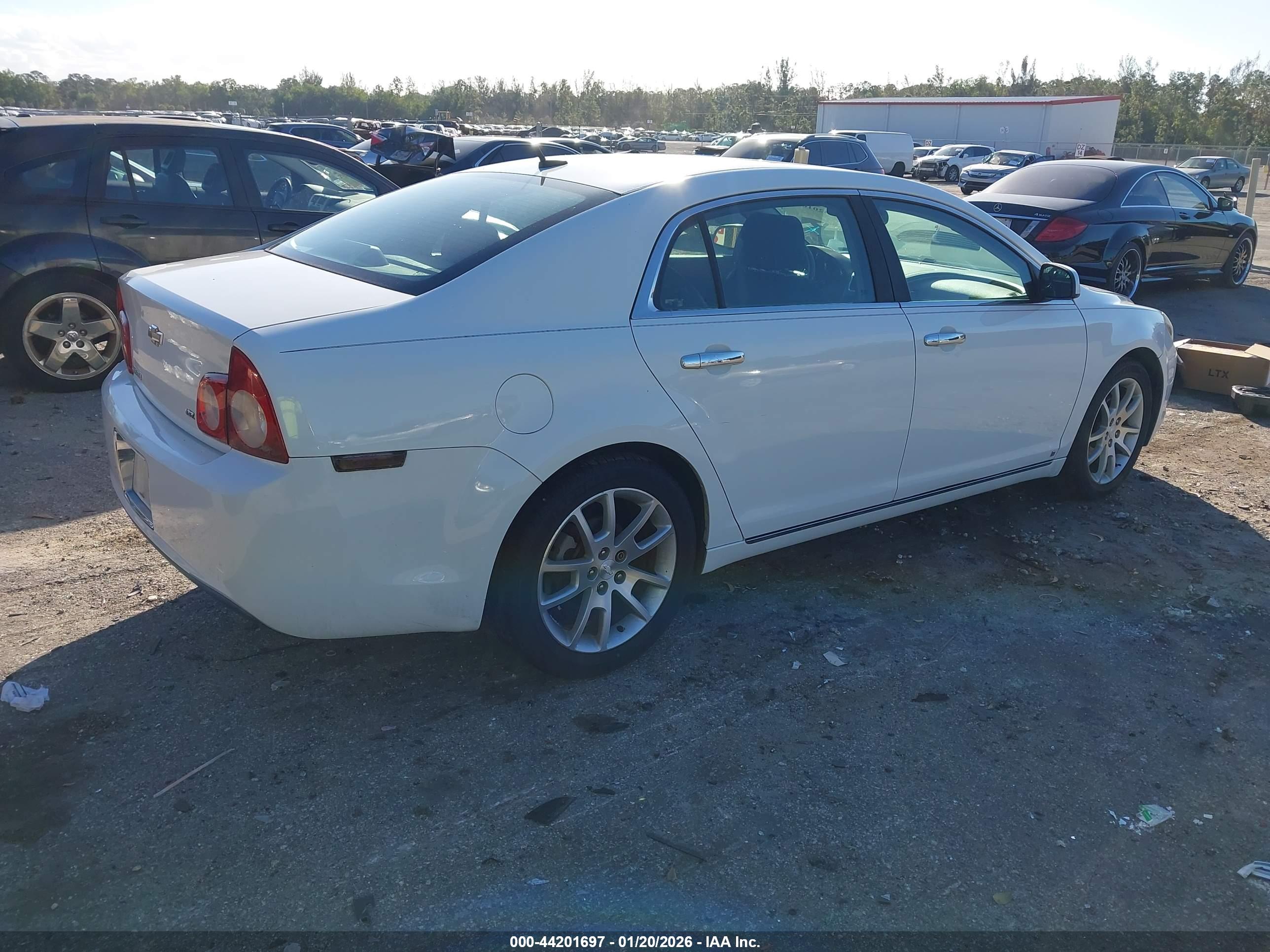 CHEVROLET MALIBU image 4