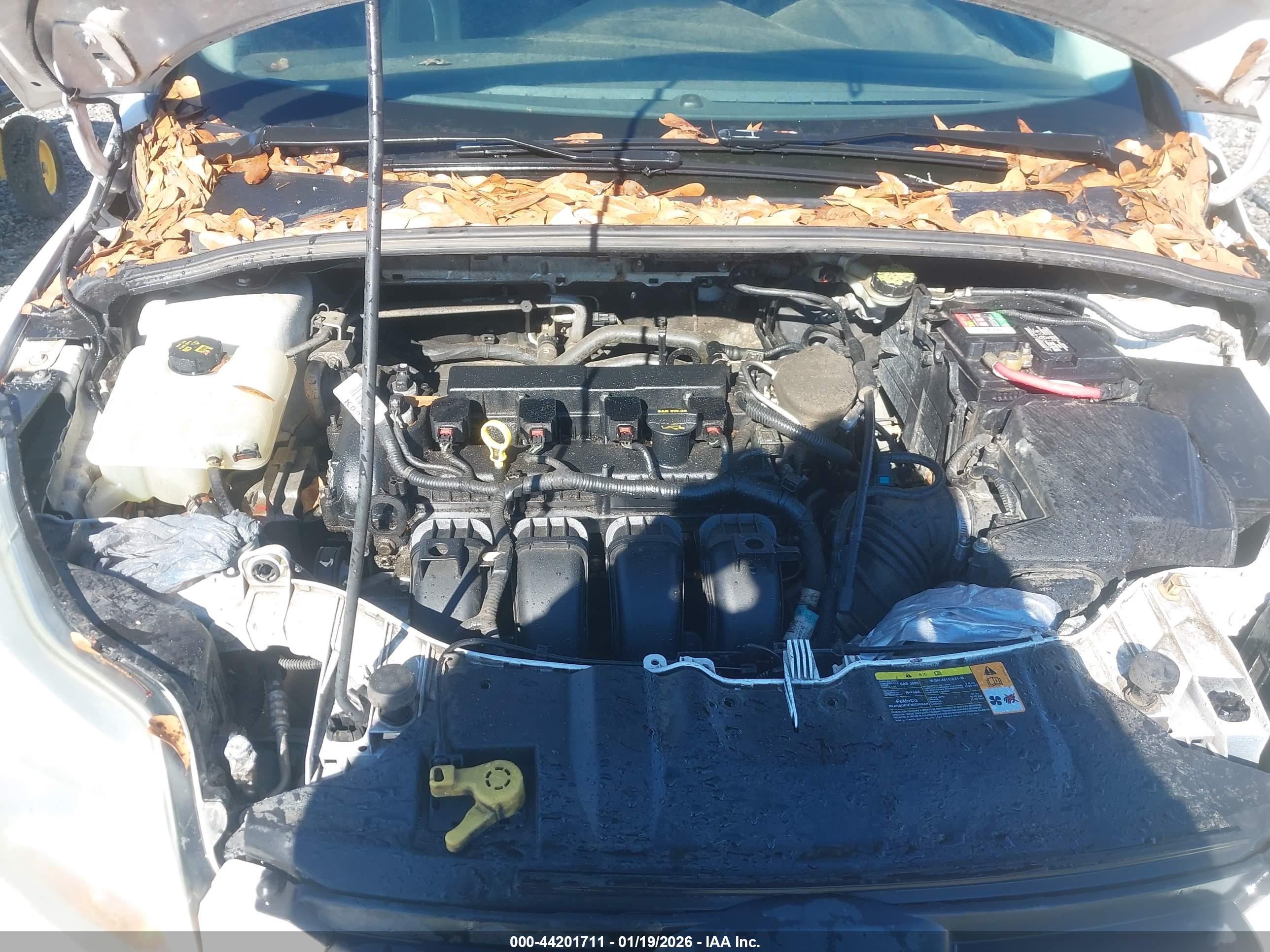 FORD FOCUS image 10