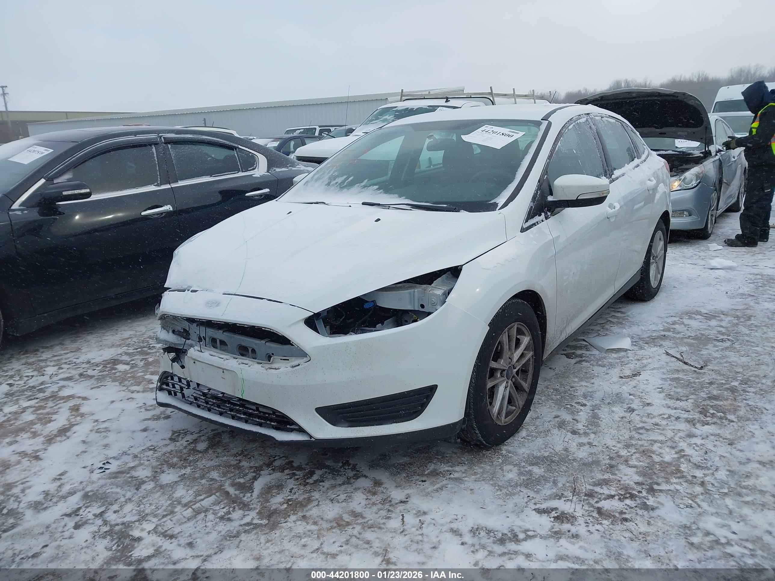 FORD FOCUS image 2