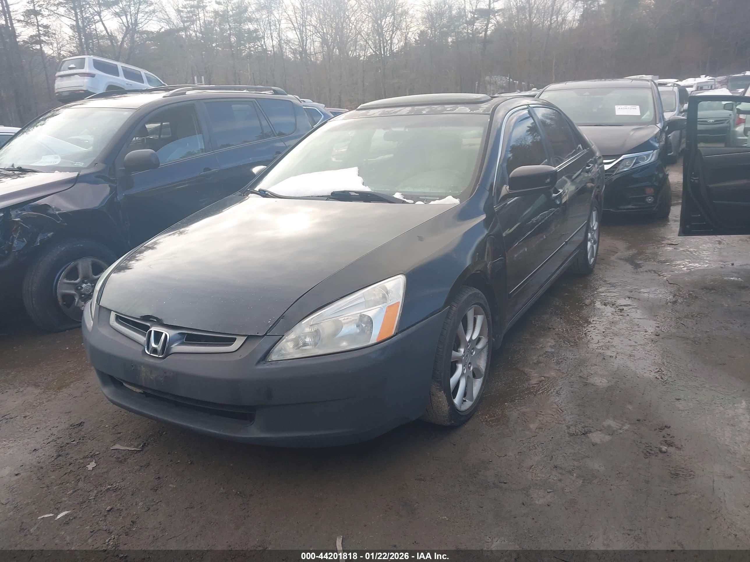 HONDA ACCORD image 2