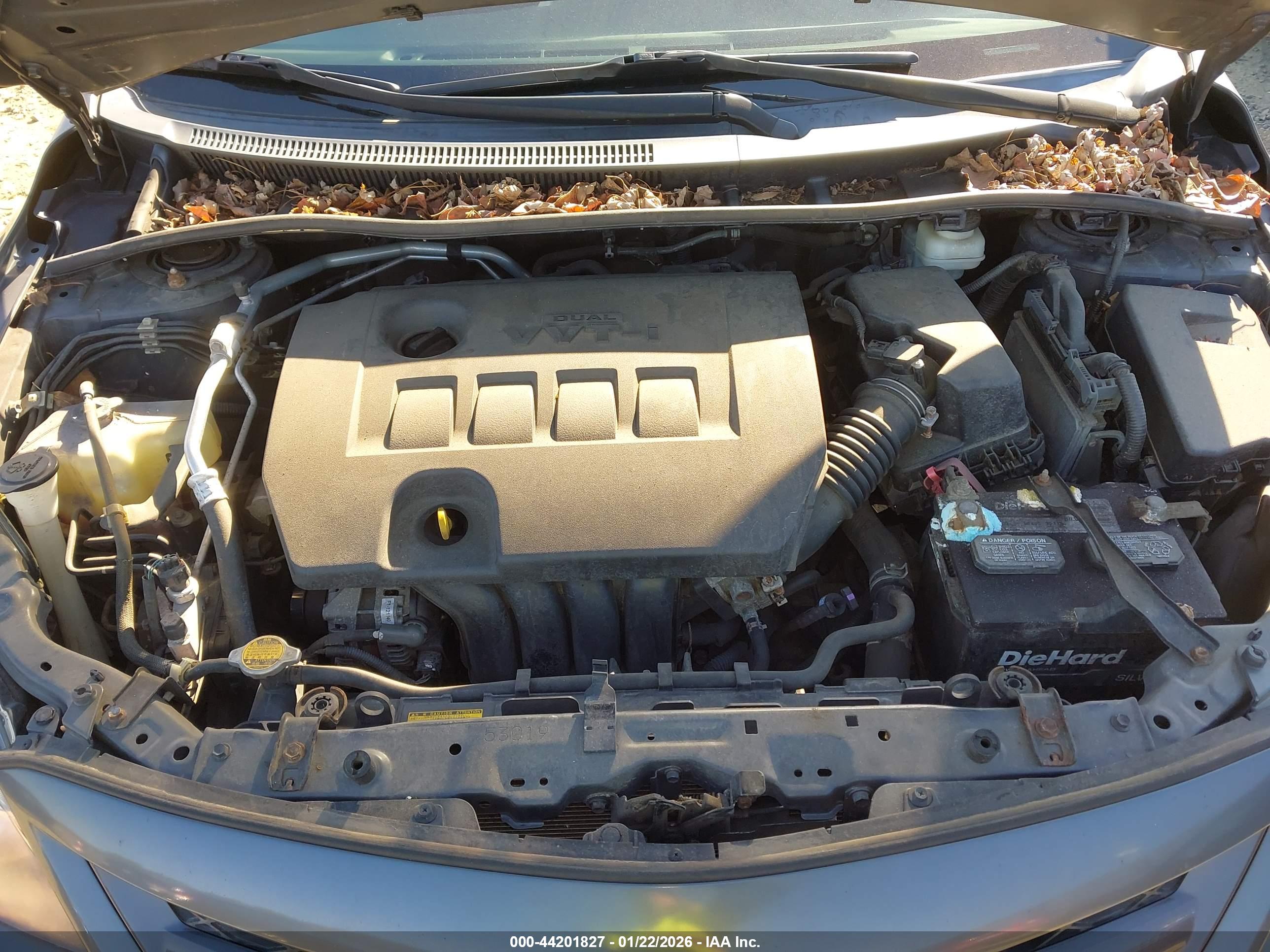 TOYOTA COROLLA image 10