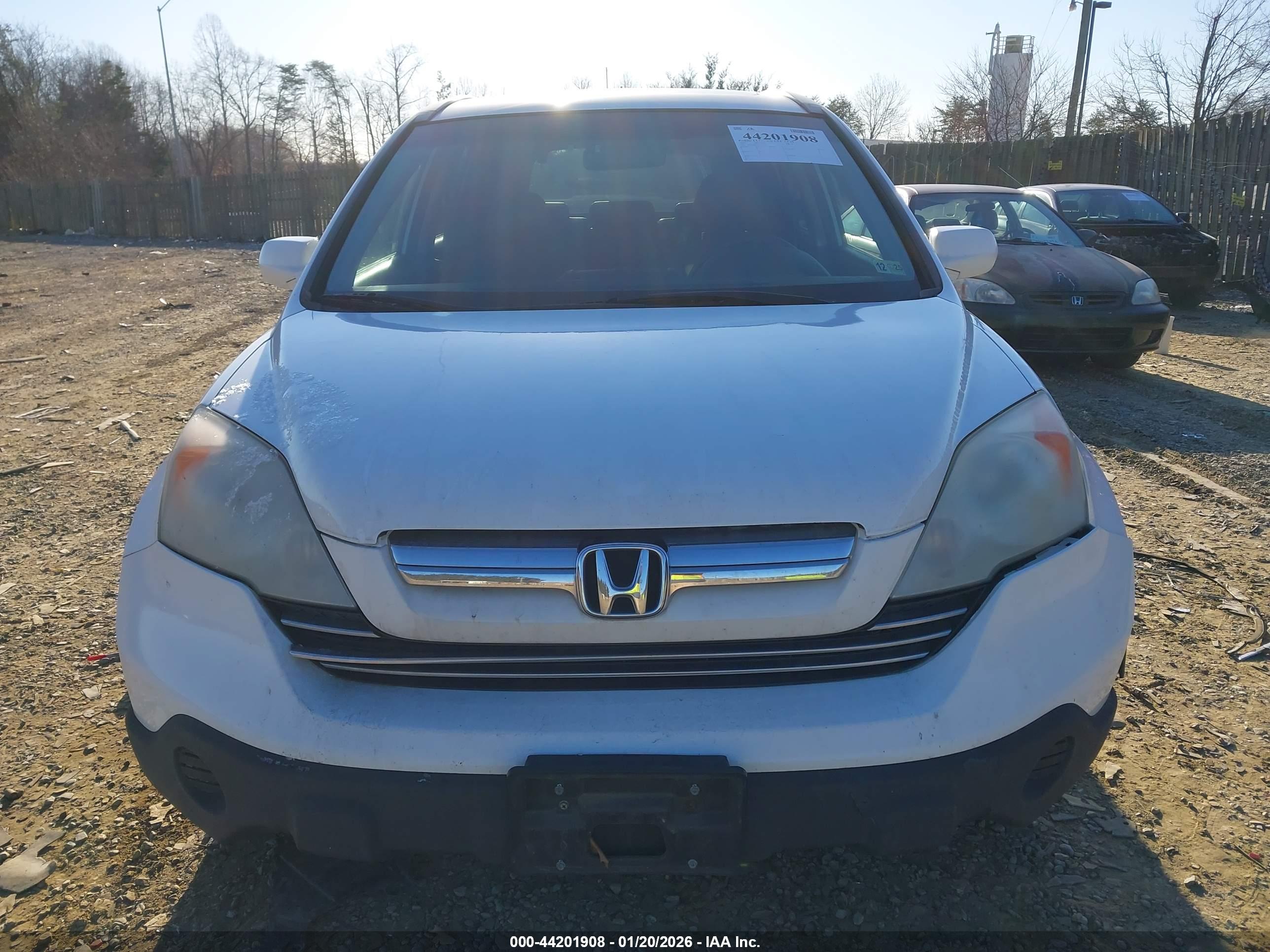 HONDA CR-V image 6