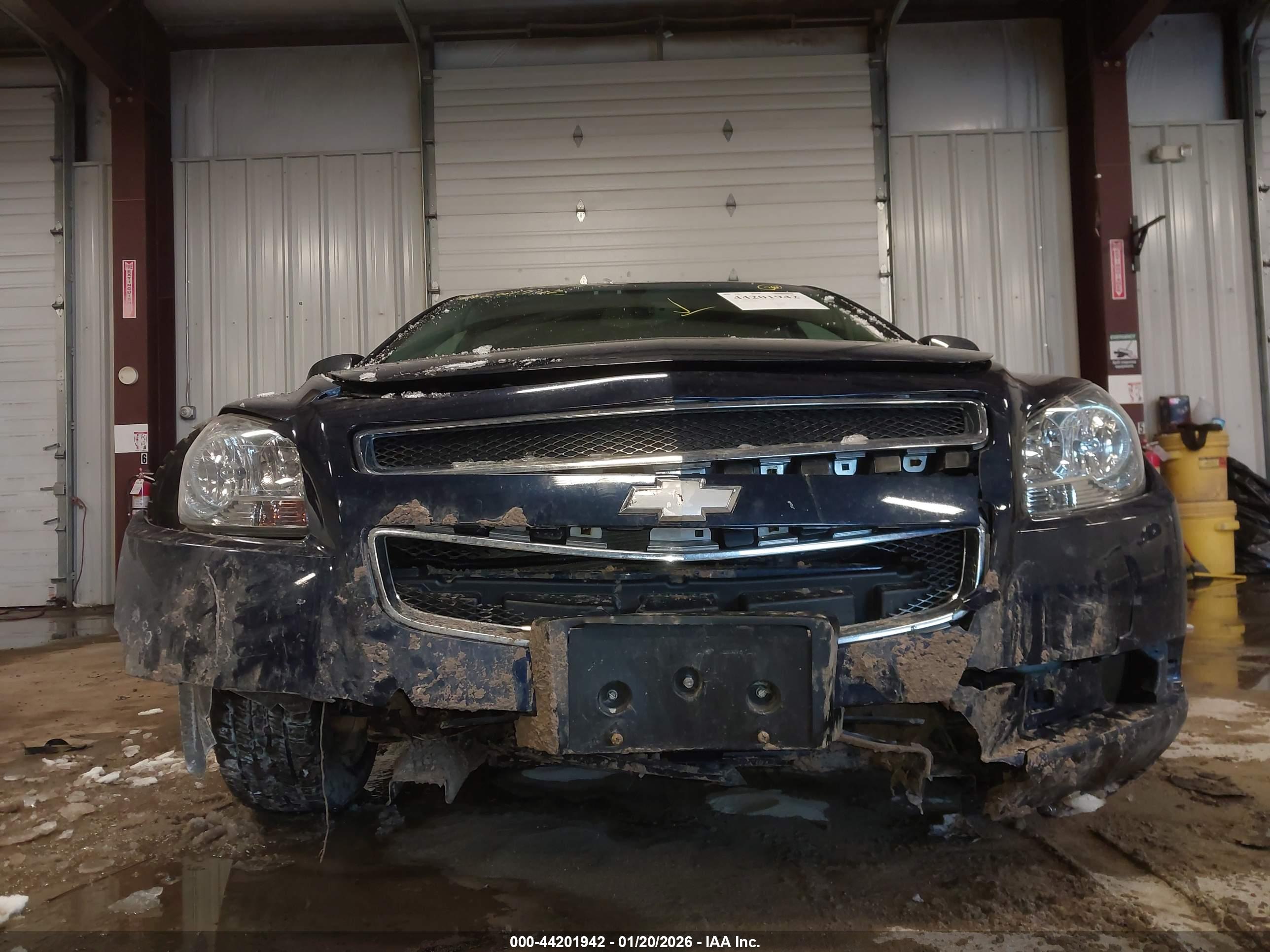 CHEVROLET MALIBU image 6