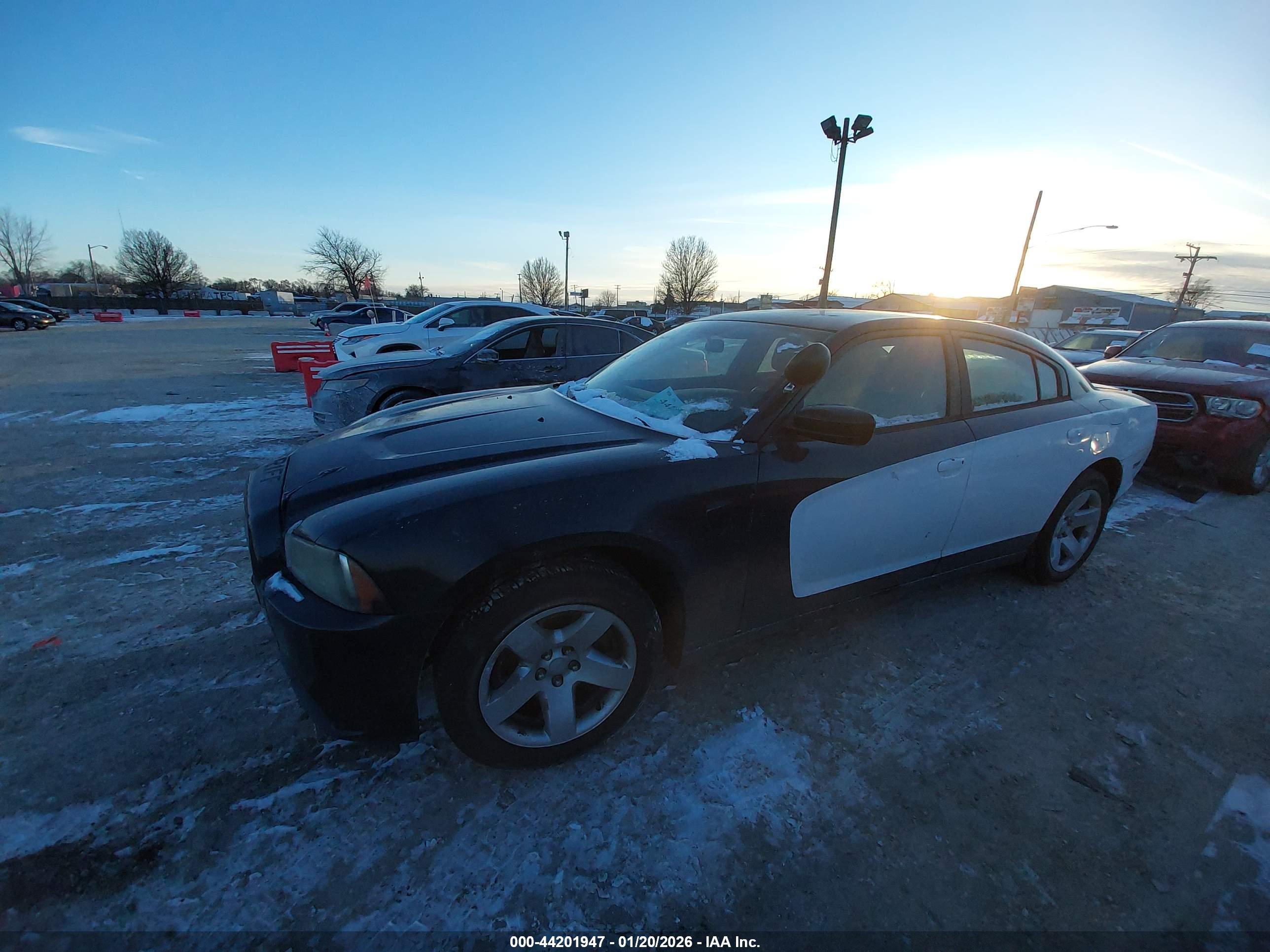 DODGE CHARGER image 2