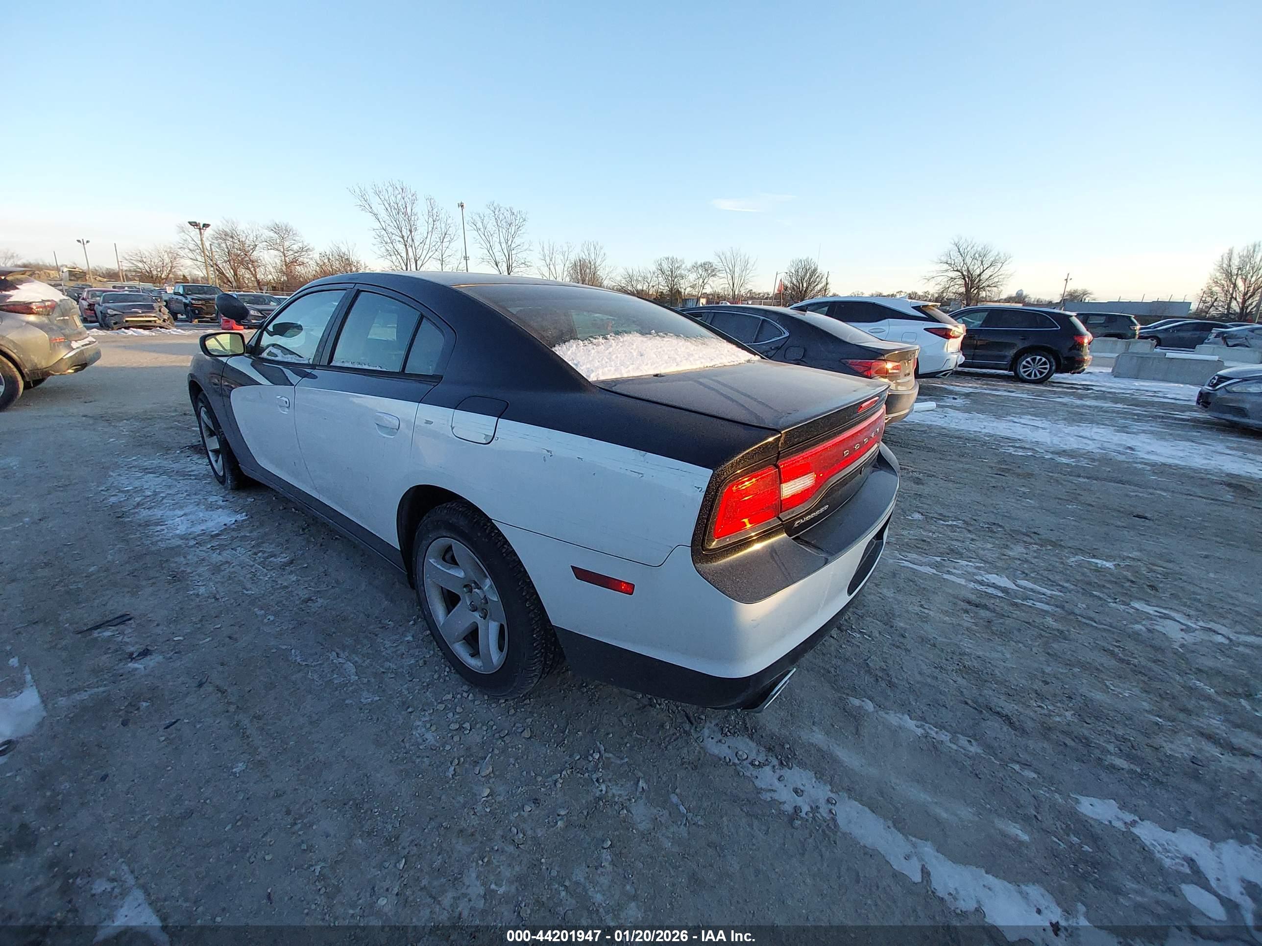 DODGE CHARGER image 3