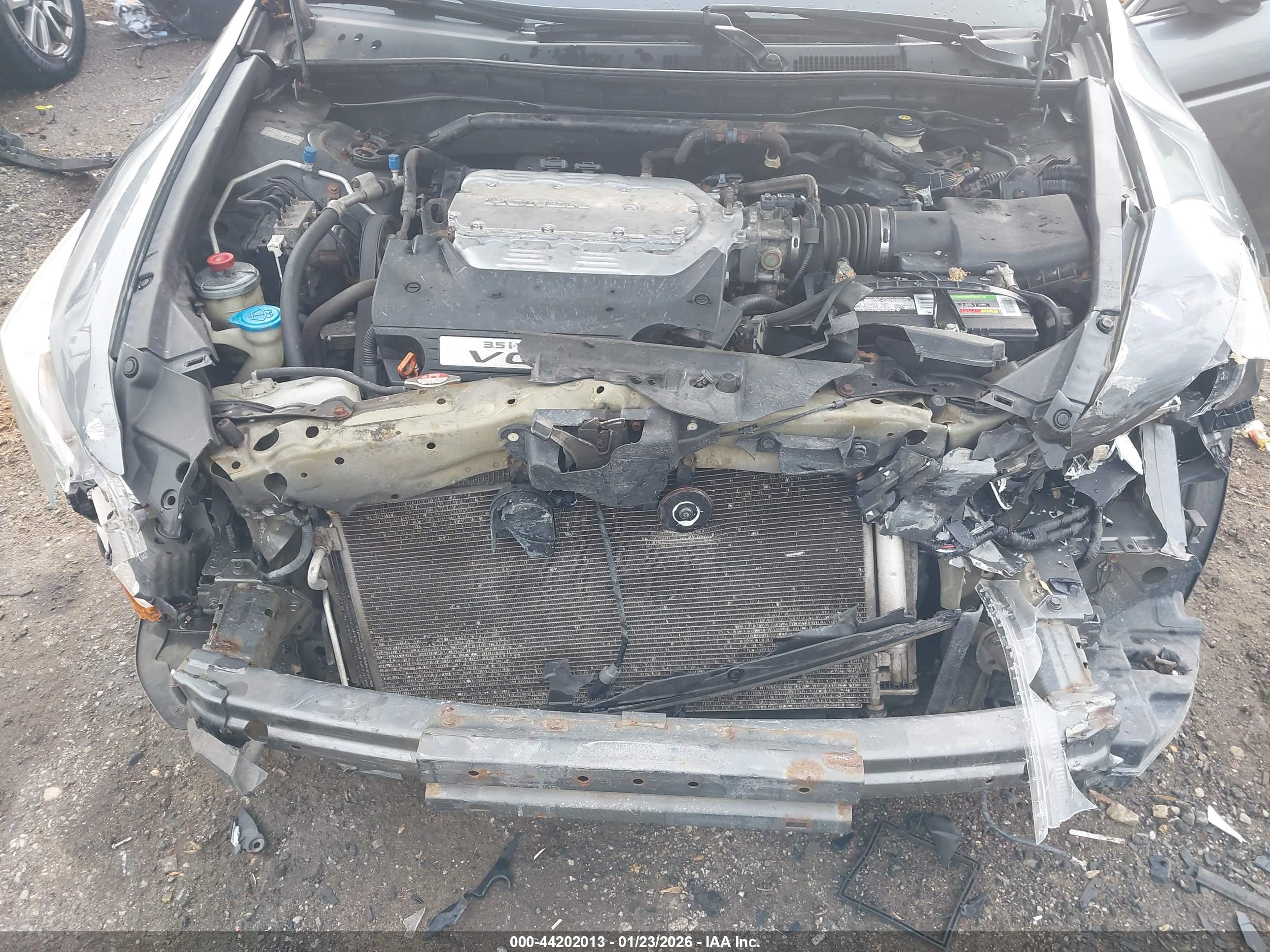 HONDA ACCORD image 10