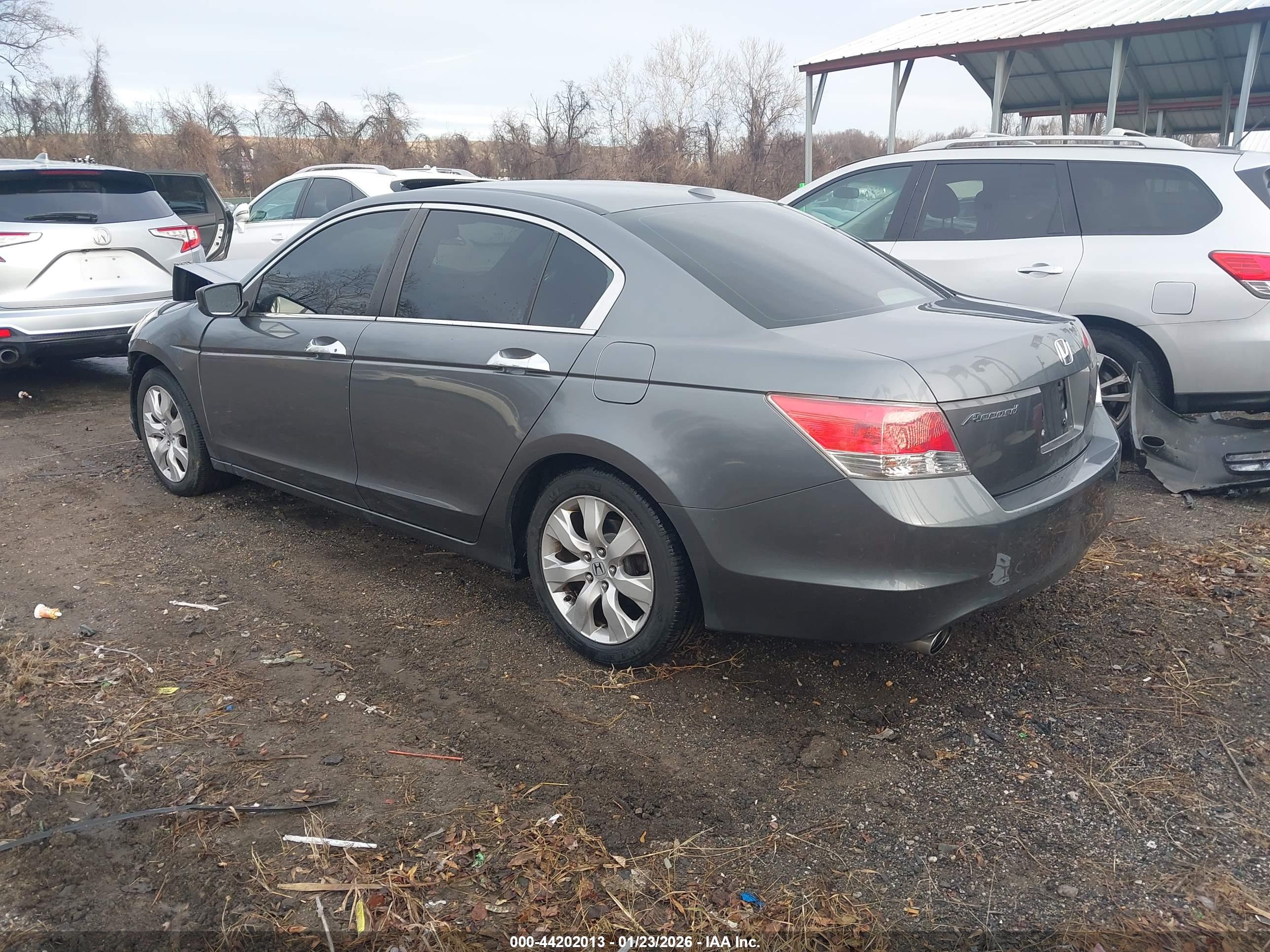 HONDA ACCORD image 3