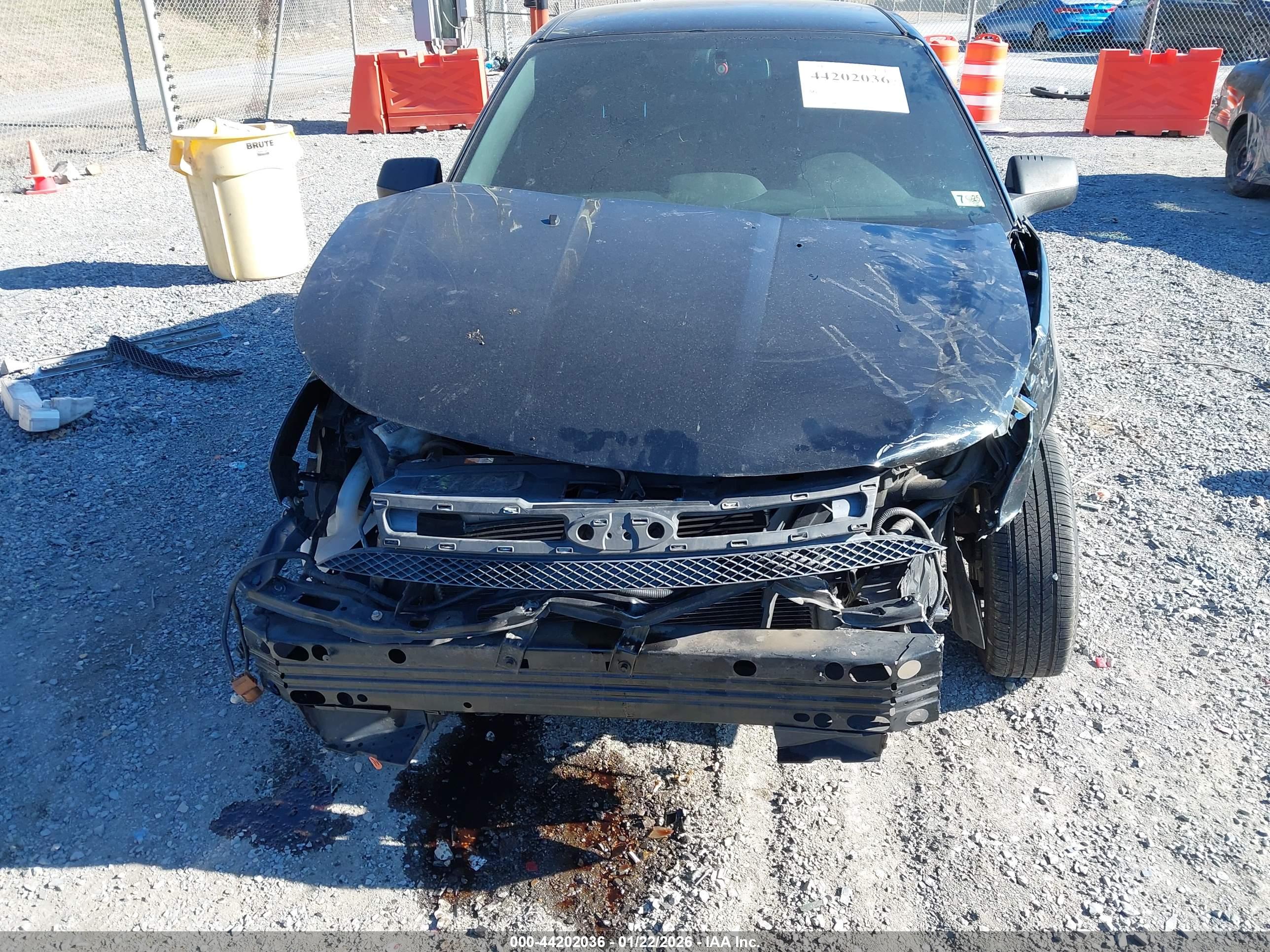 FORD FOCUS image 6
