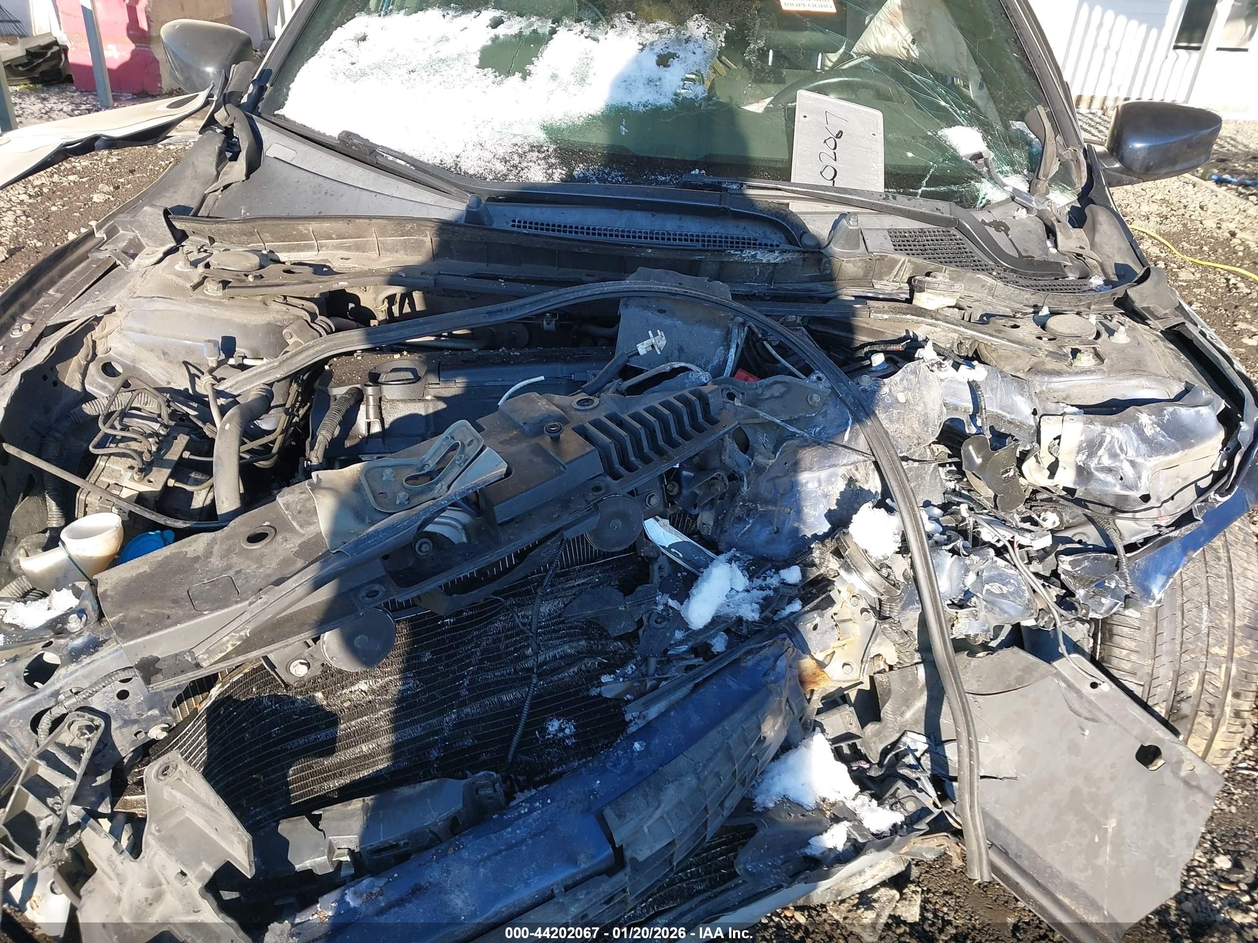 HONDA ACCORD image 10