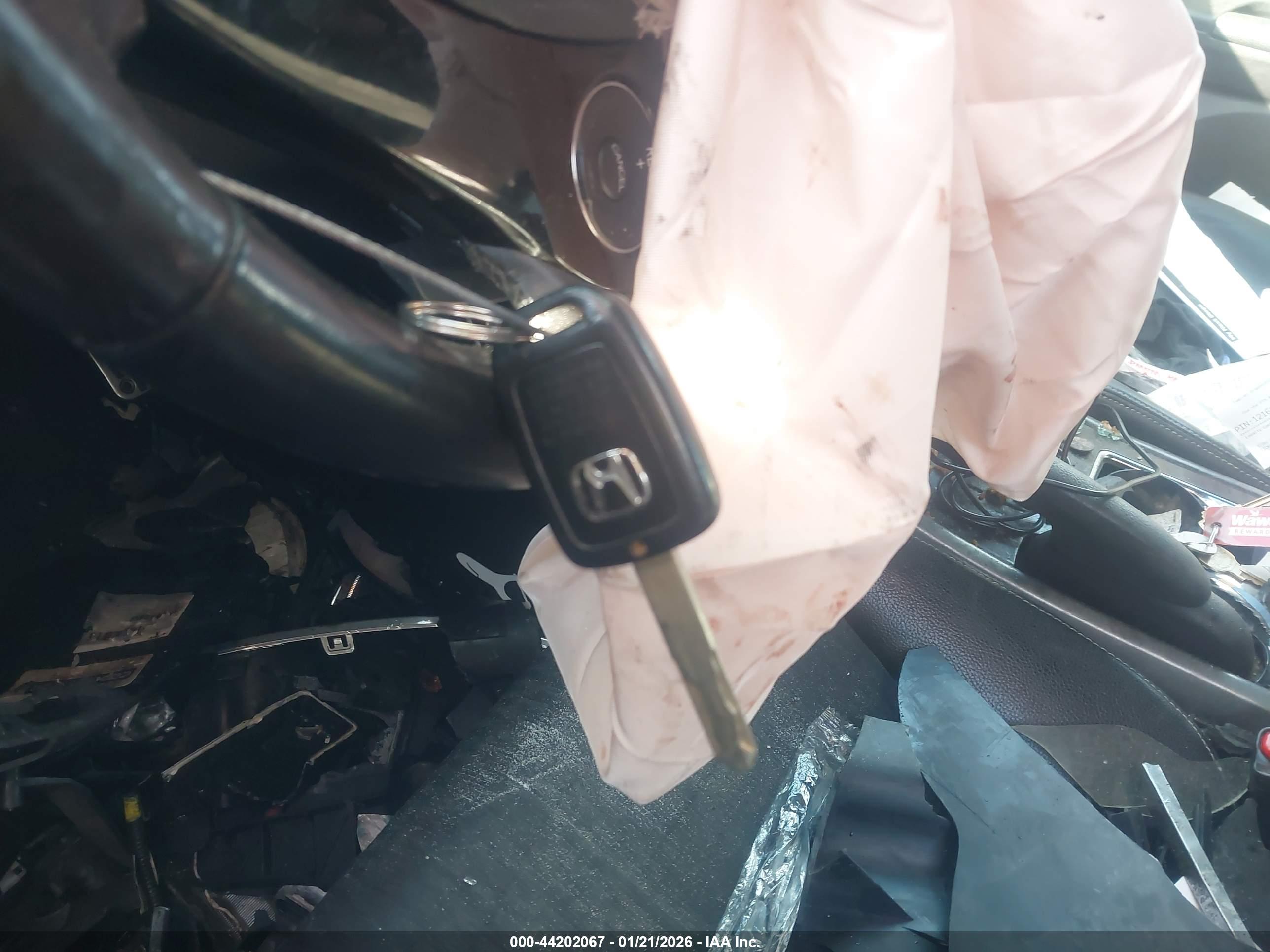 HONDA ACCORD image 11