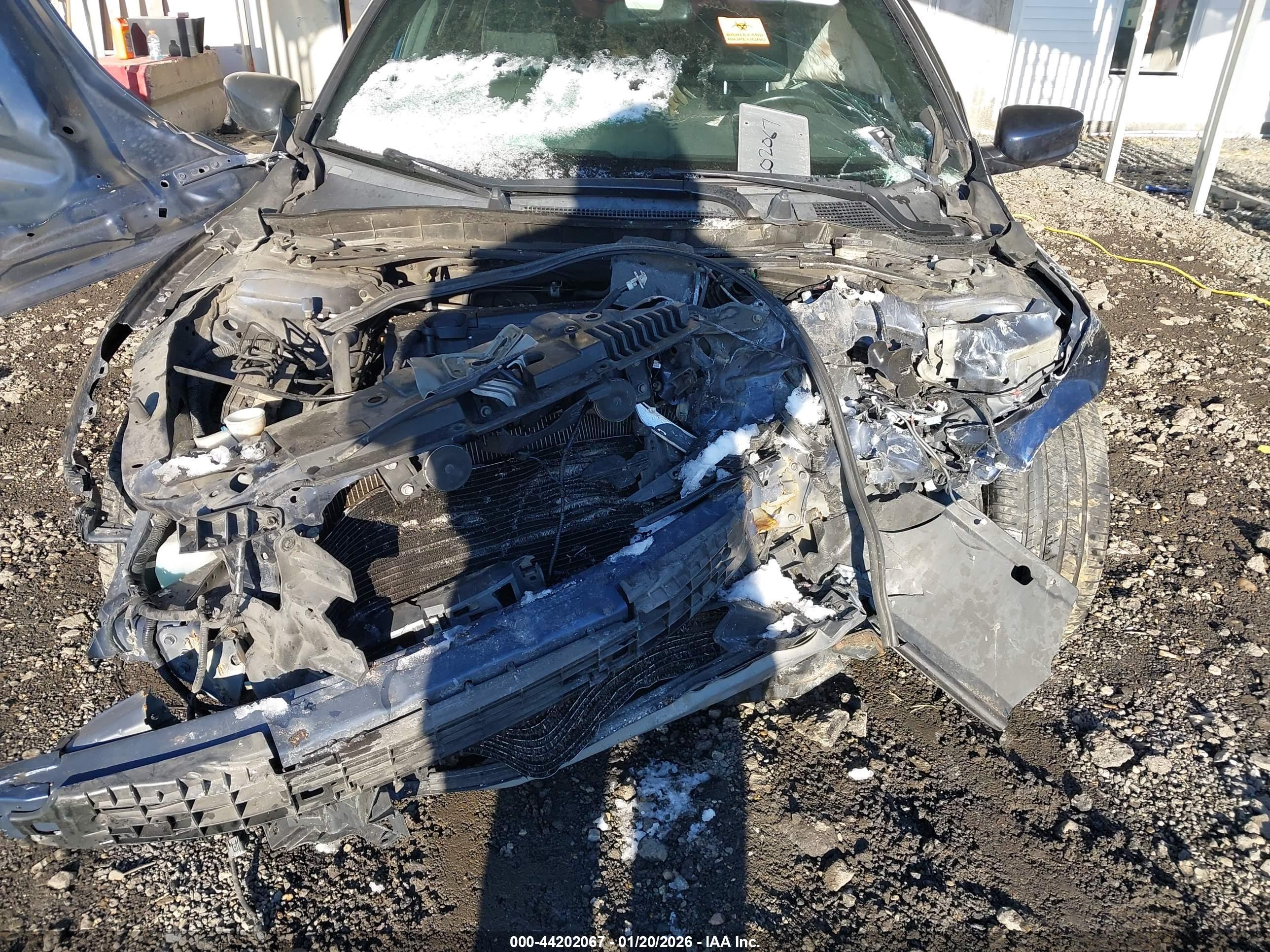 HONDA ACCORD image 6