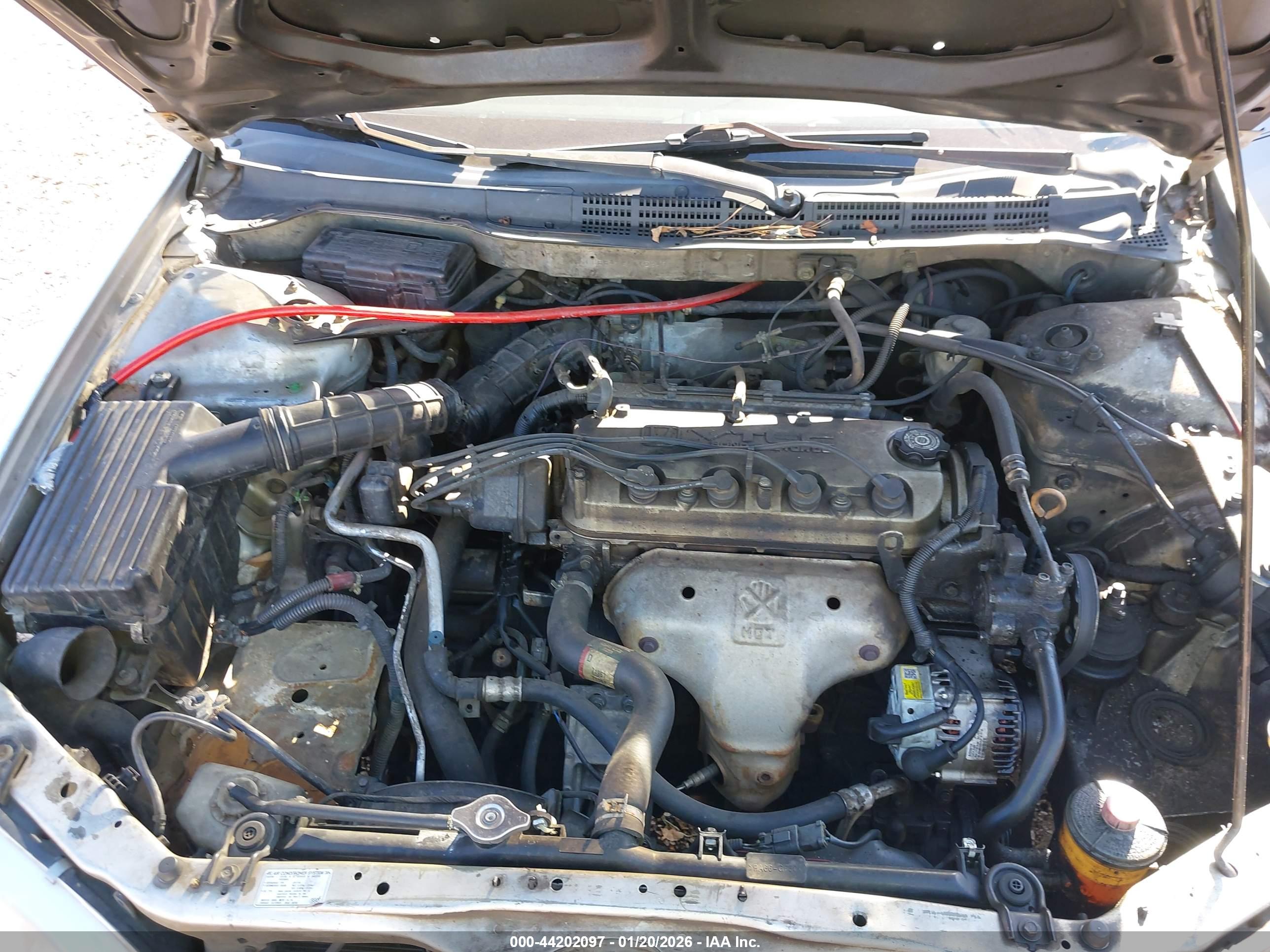 HONDA ACCORD image 10
