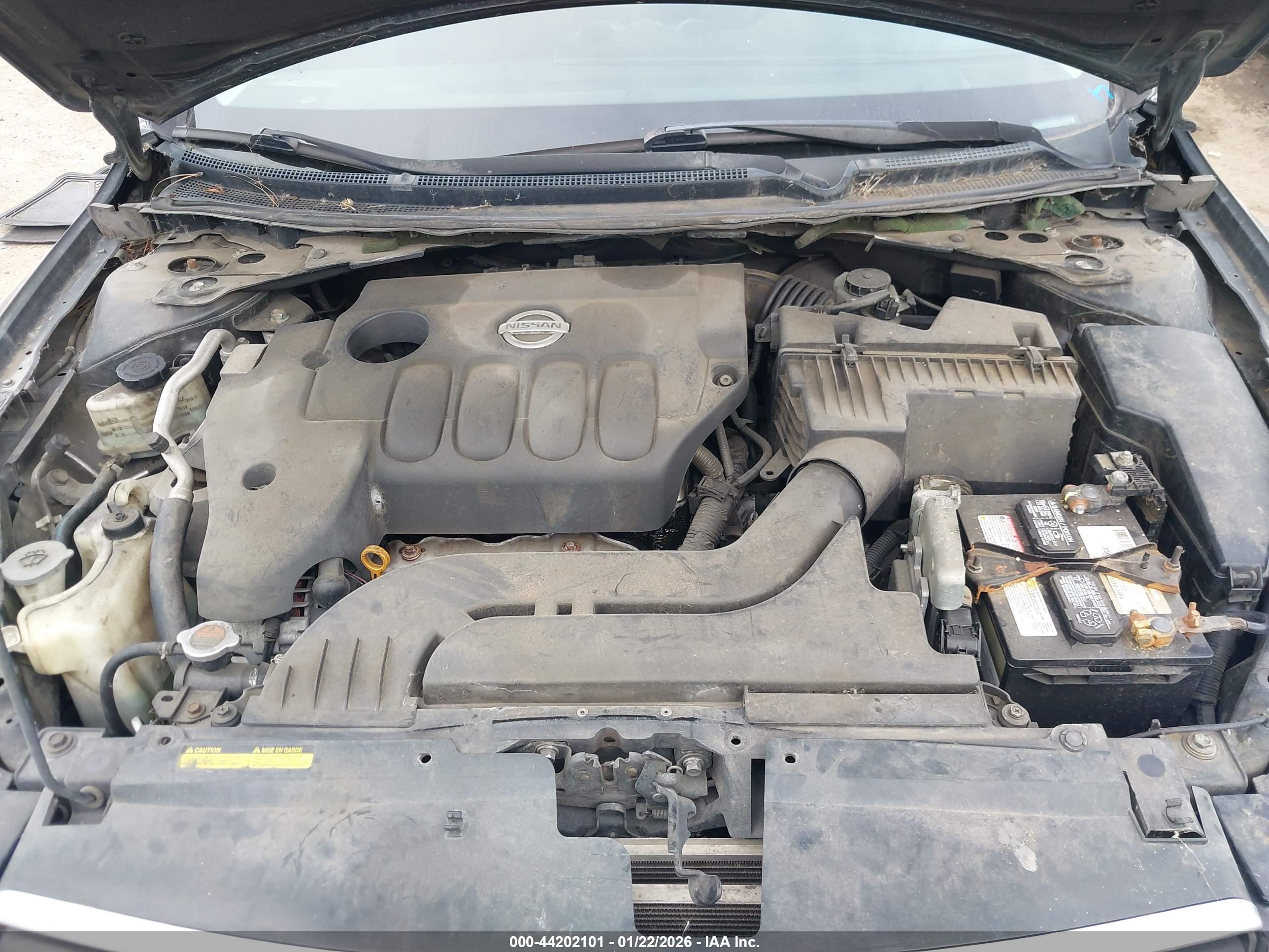 NISSAN ALTIMA image 10