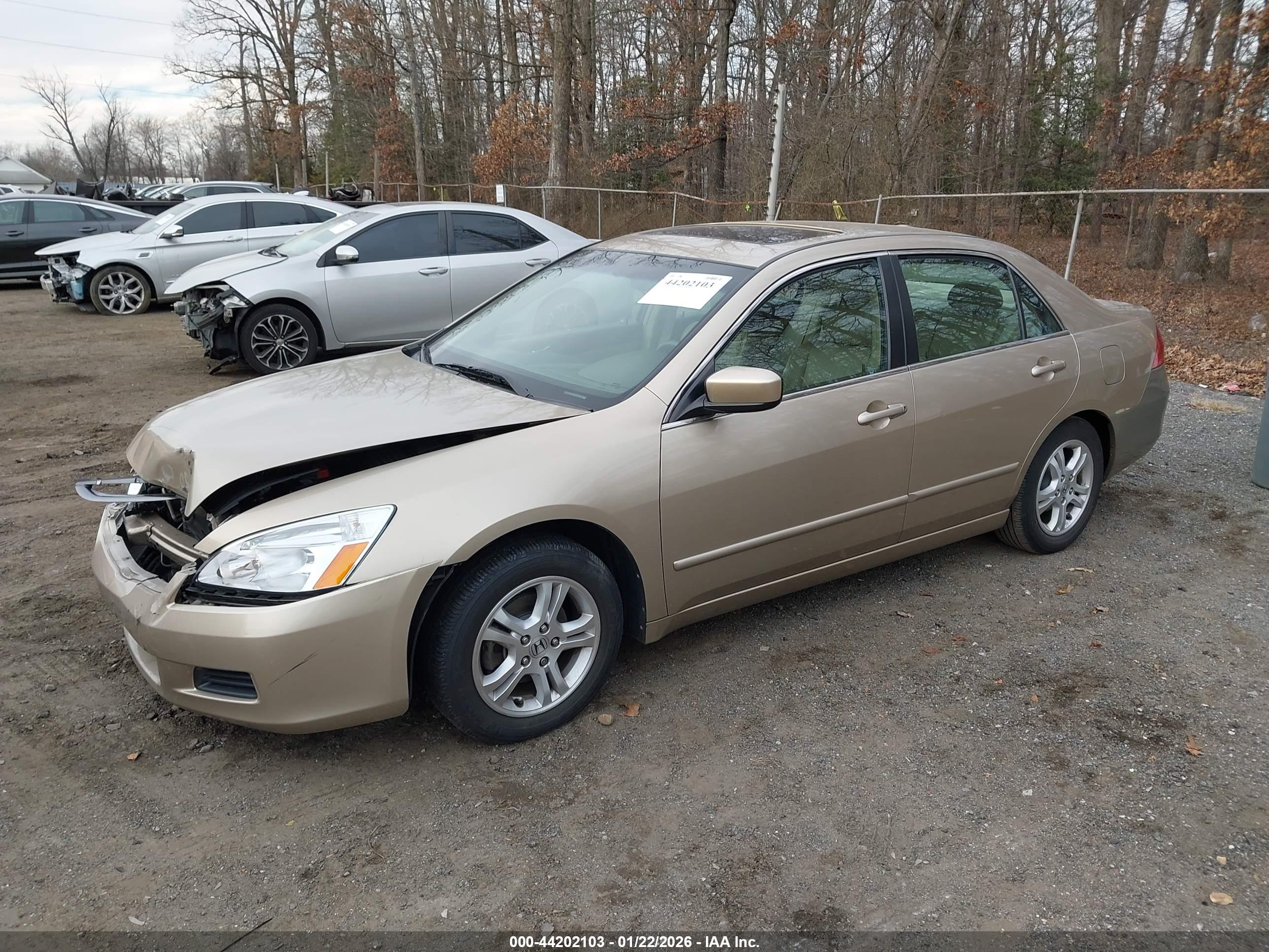 HONDA ACCORD image 2