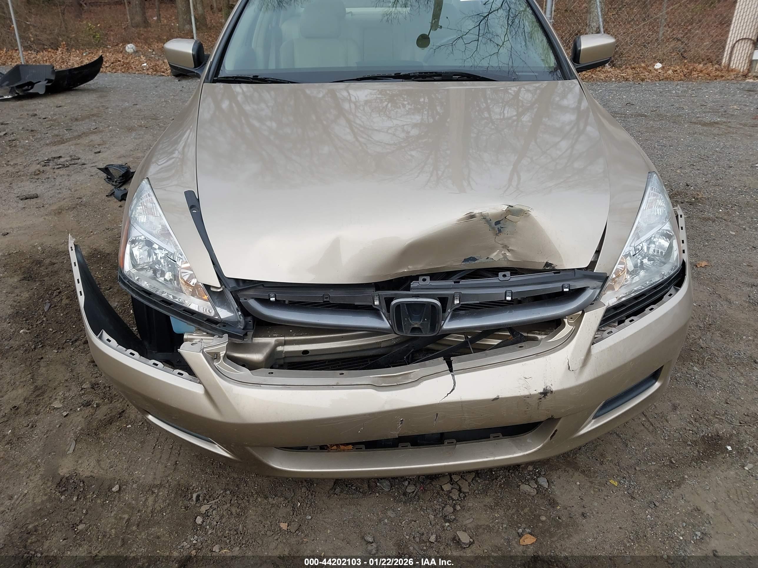HONDA ACCORD image 6