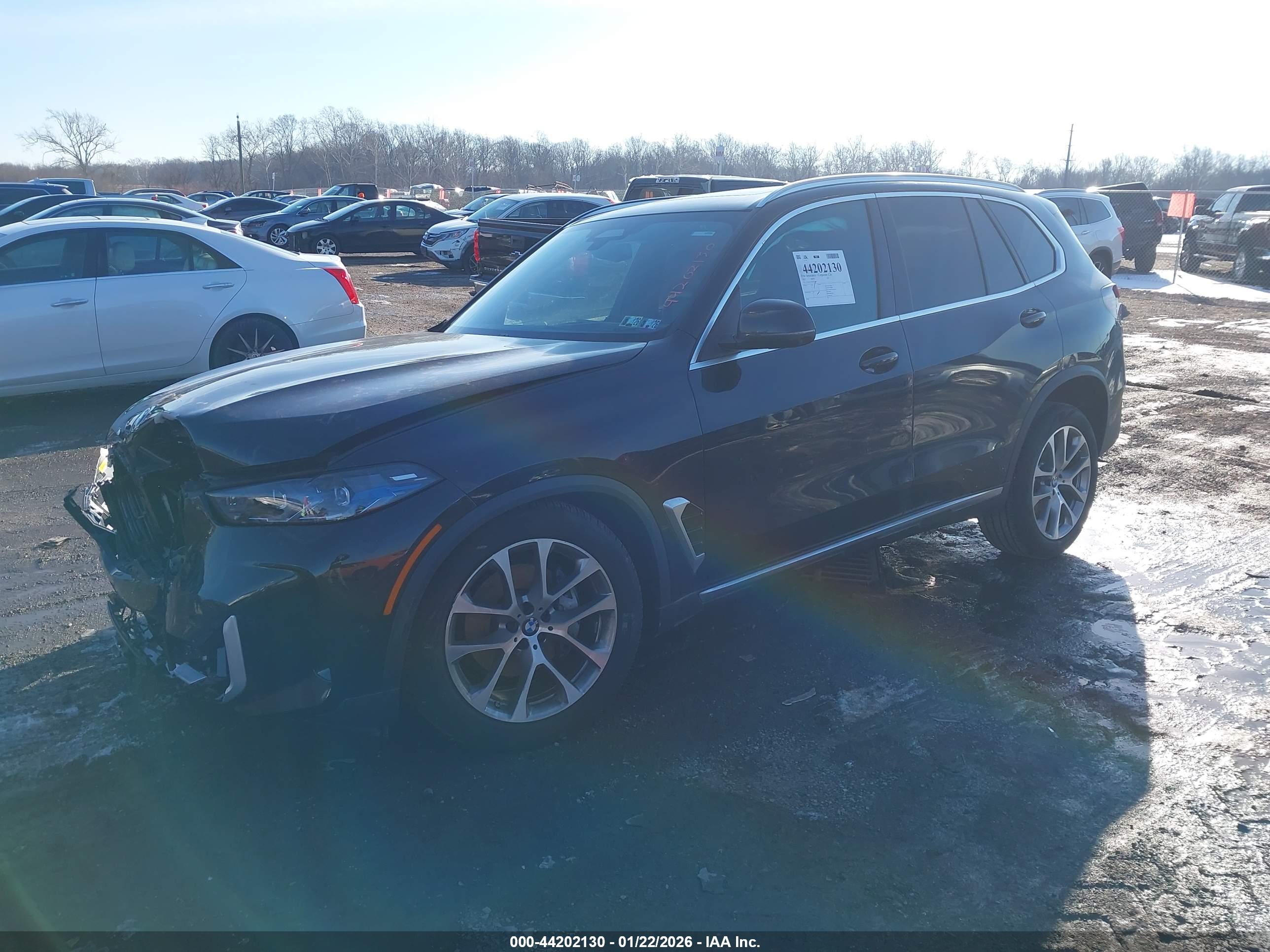 BMW X5 image 2