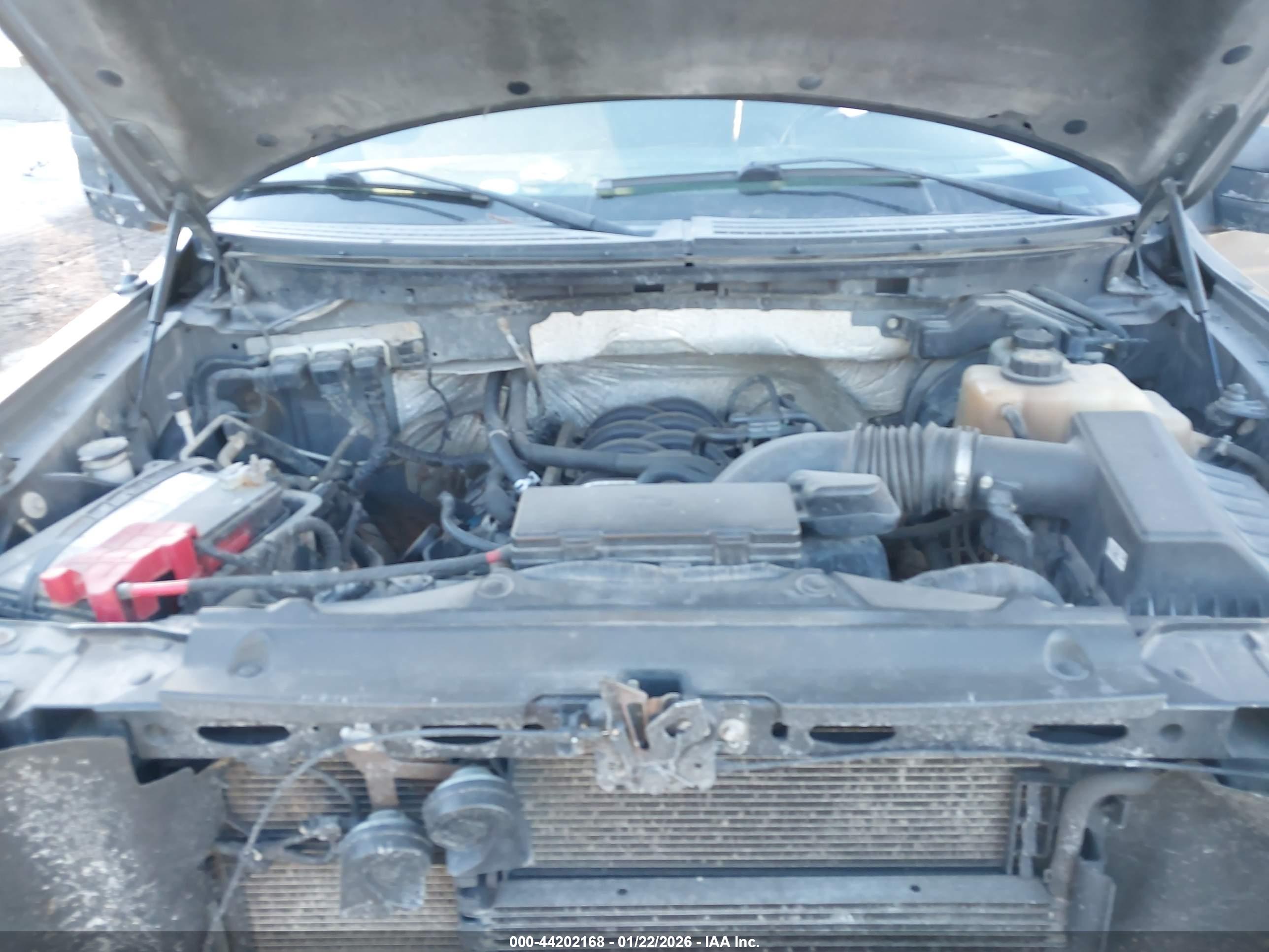 FORD F-150 image 10