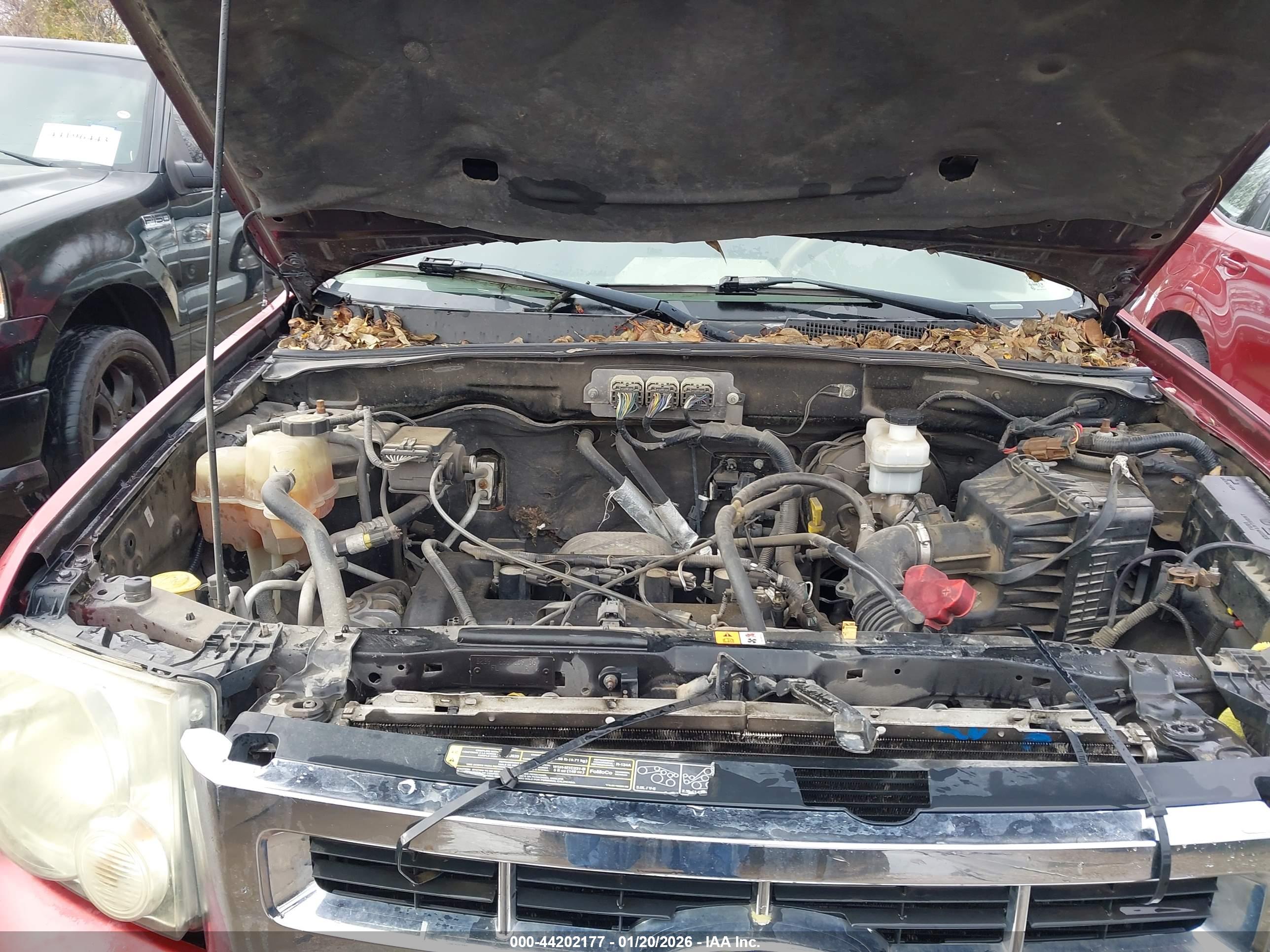 FORD ESCAPE image 10