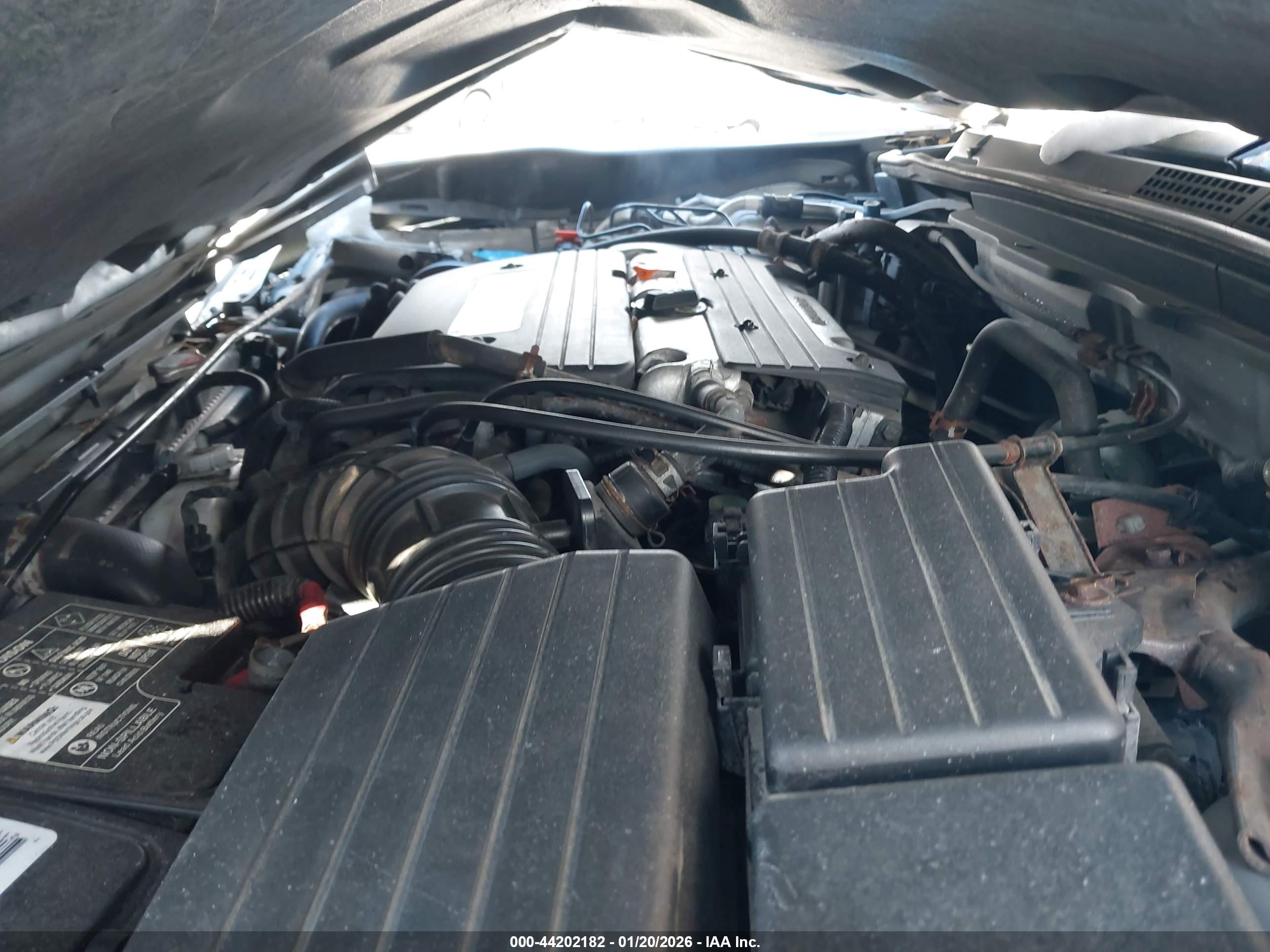 HONDA ACCORD image 10