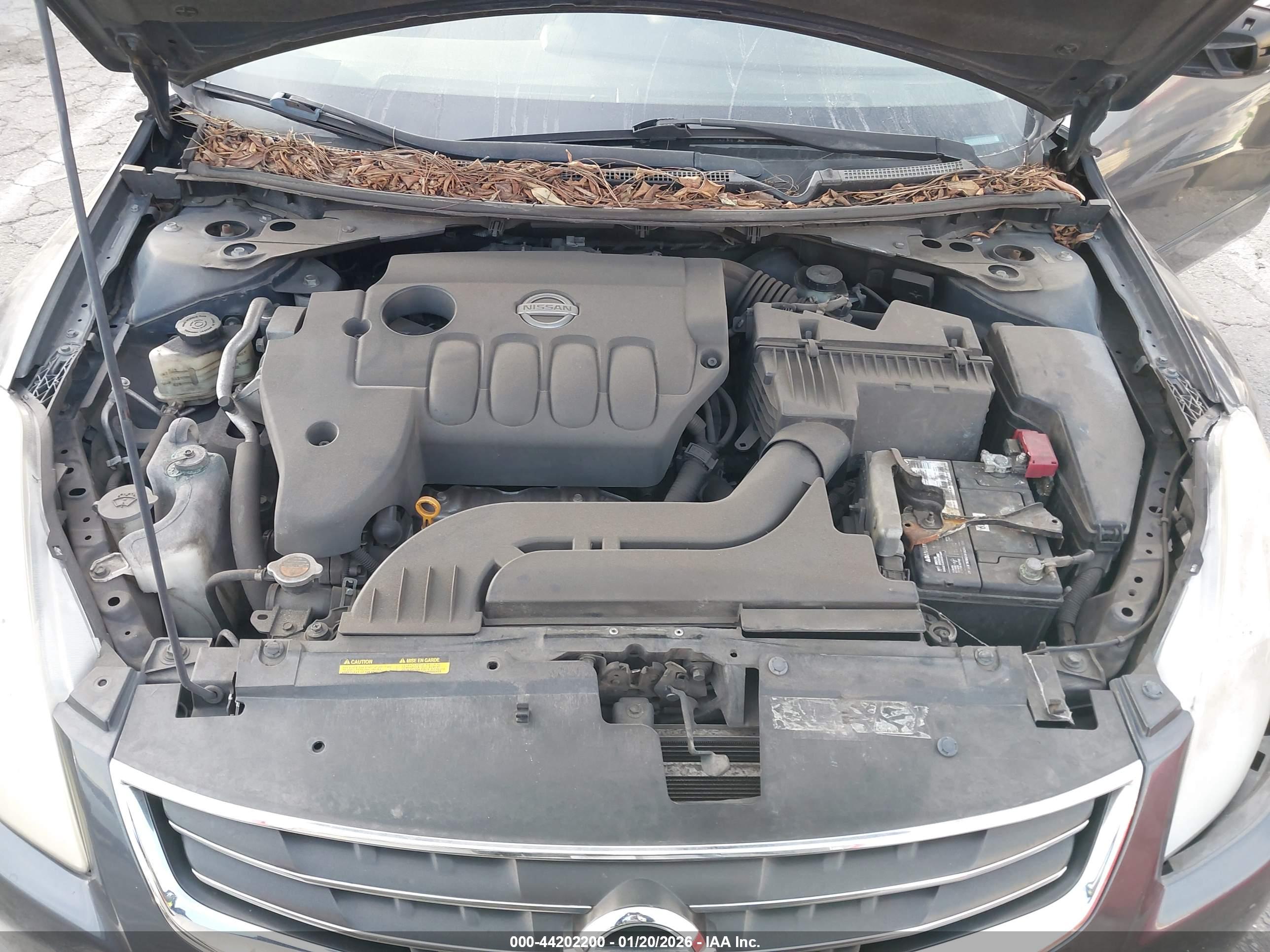 NISSAN ALTIMA image 10
