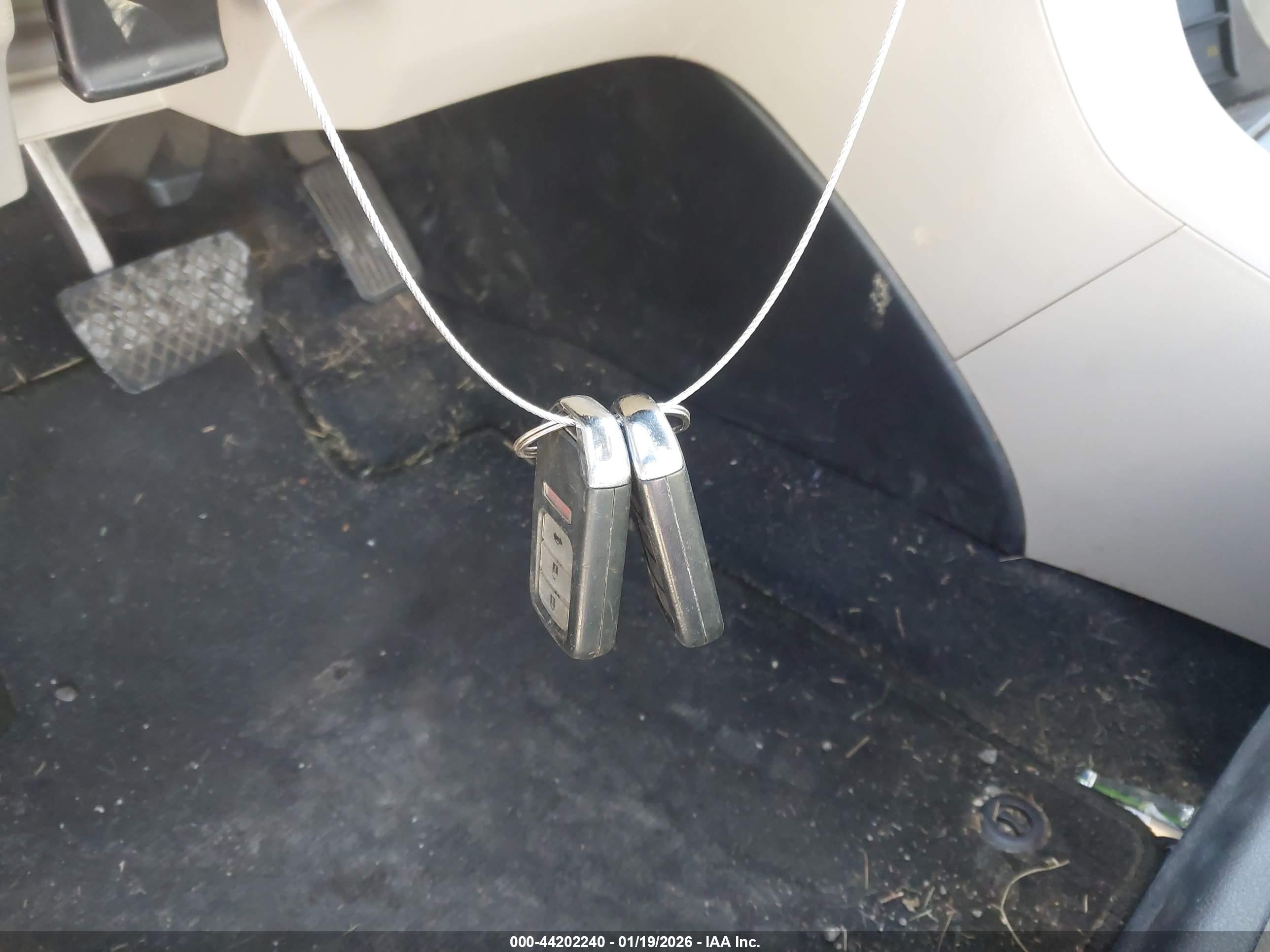 HONDA ACCORD image 11