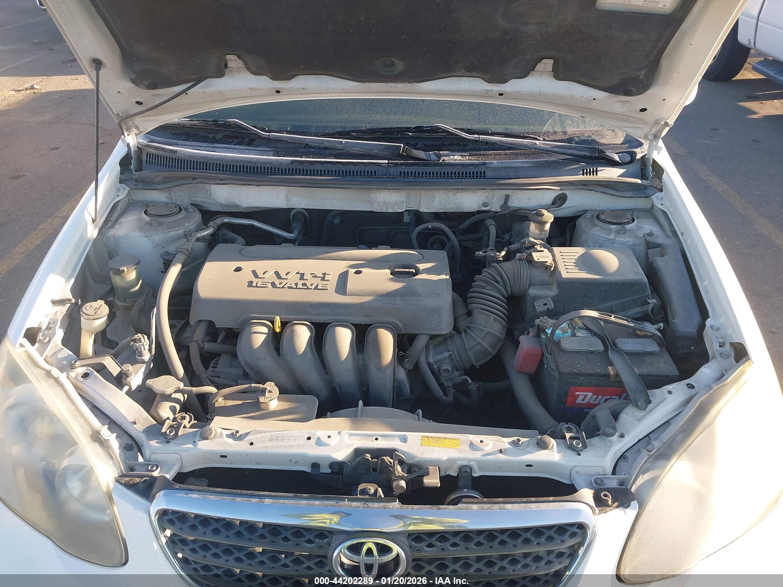 TOYOTA COROLLA image 10