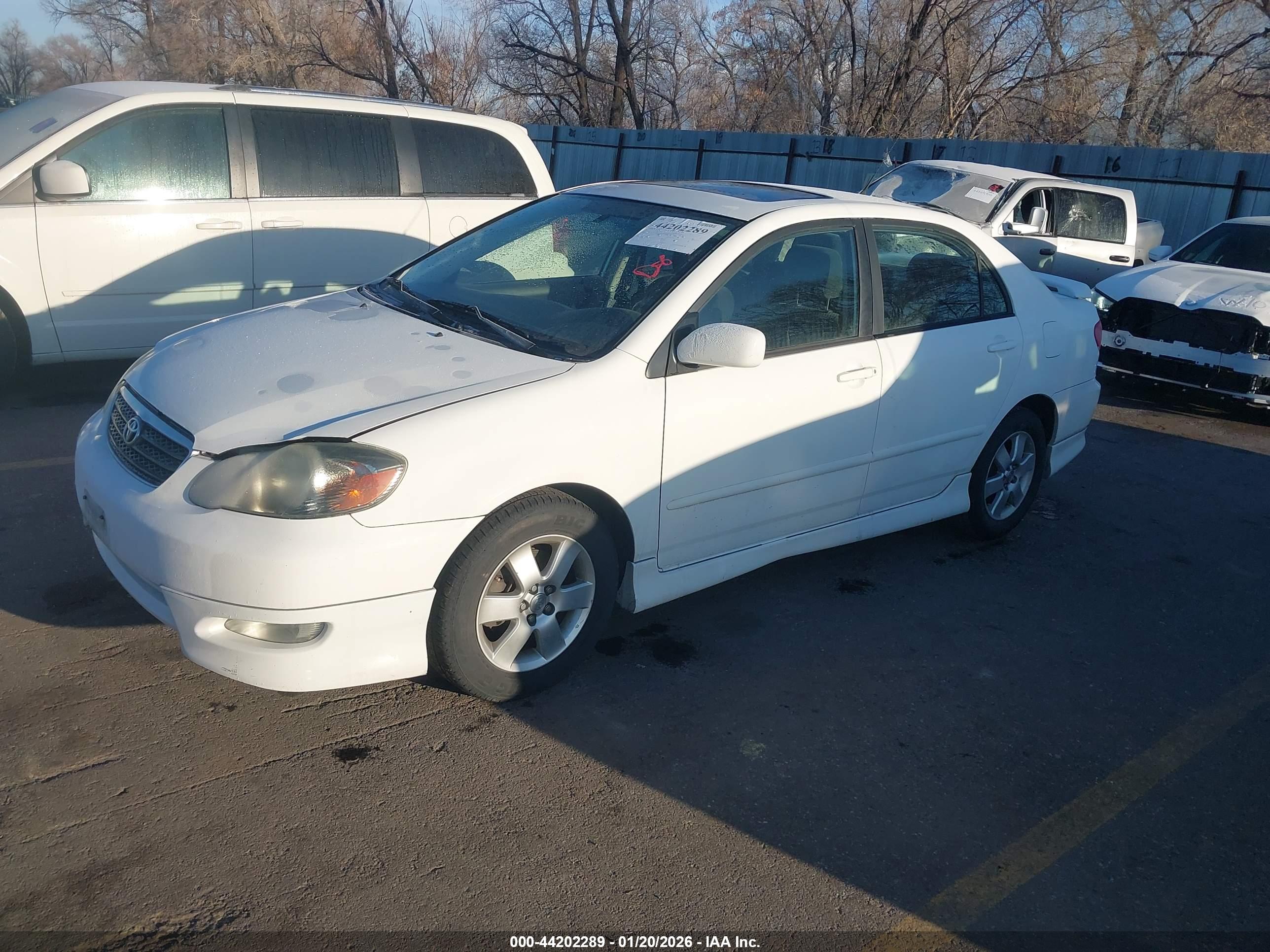 TOYOTA COROLLA image 2