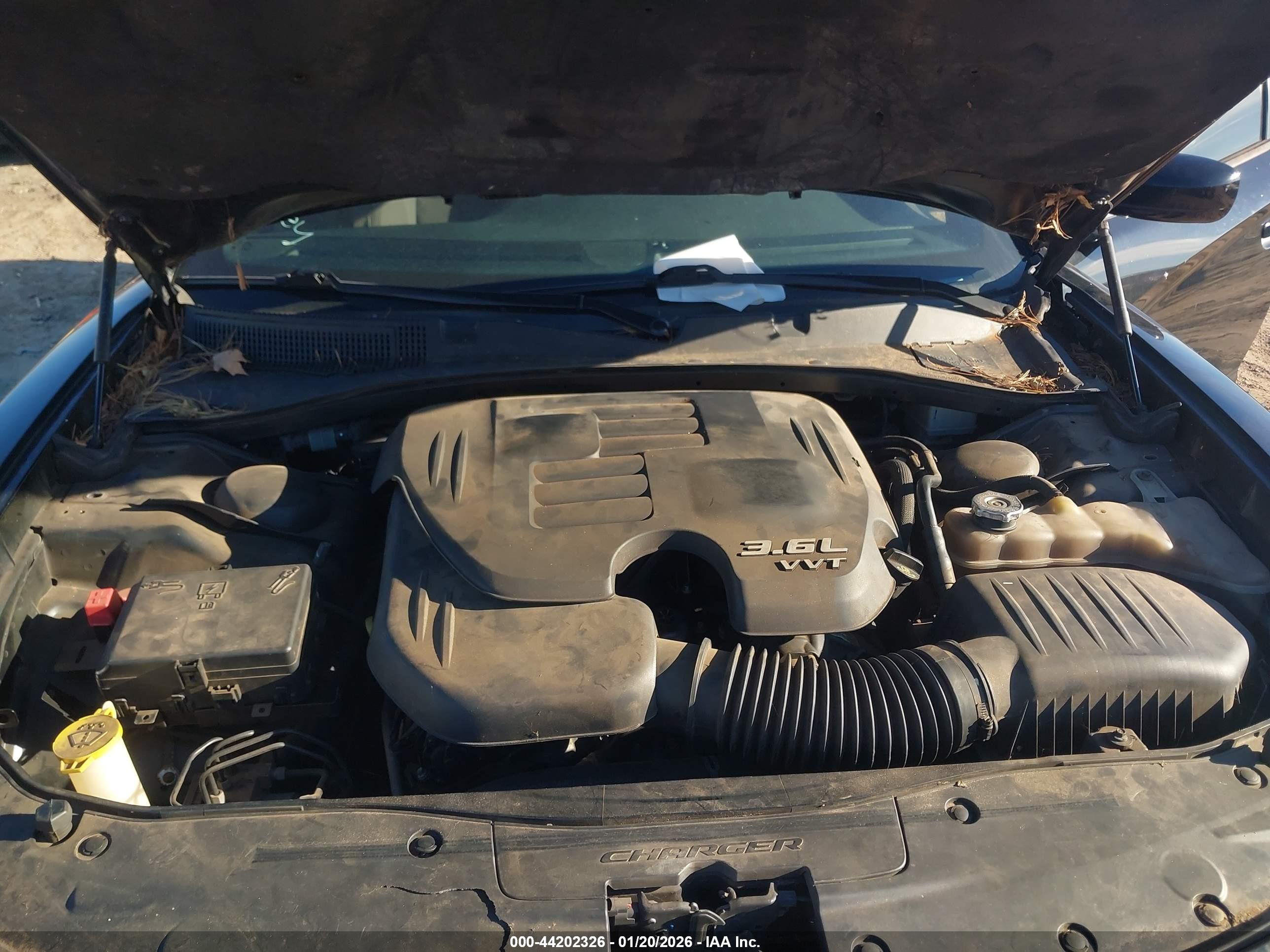 DODGE CHARGER image 10
