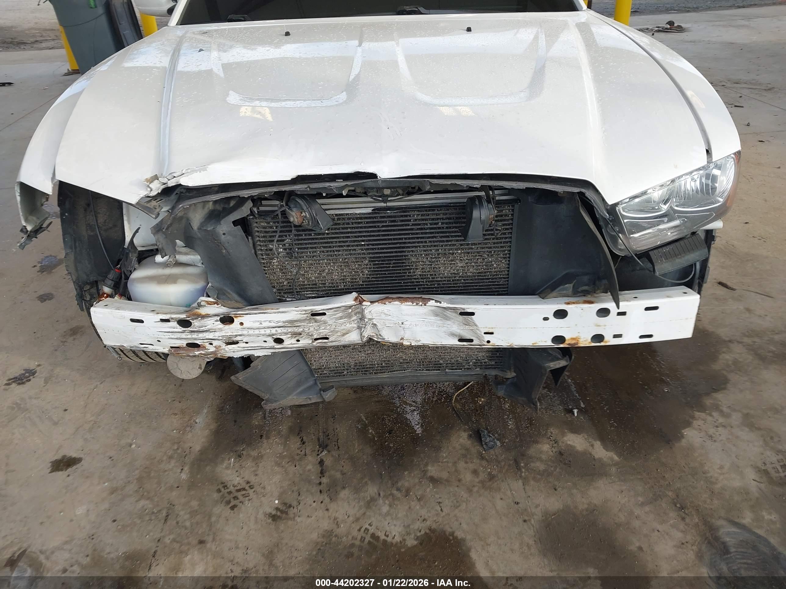 DODGE CHARGER image 6