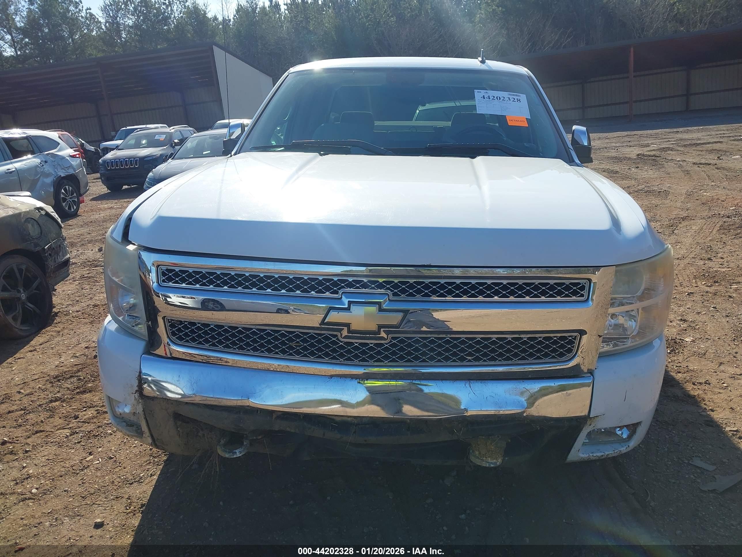 CHEVROLET SILVERADO image 6