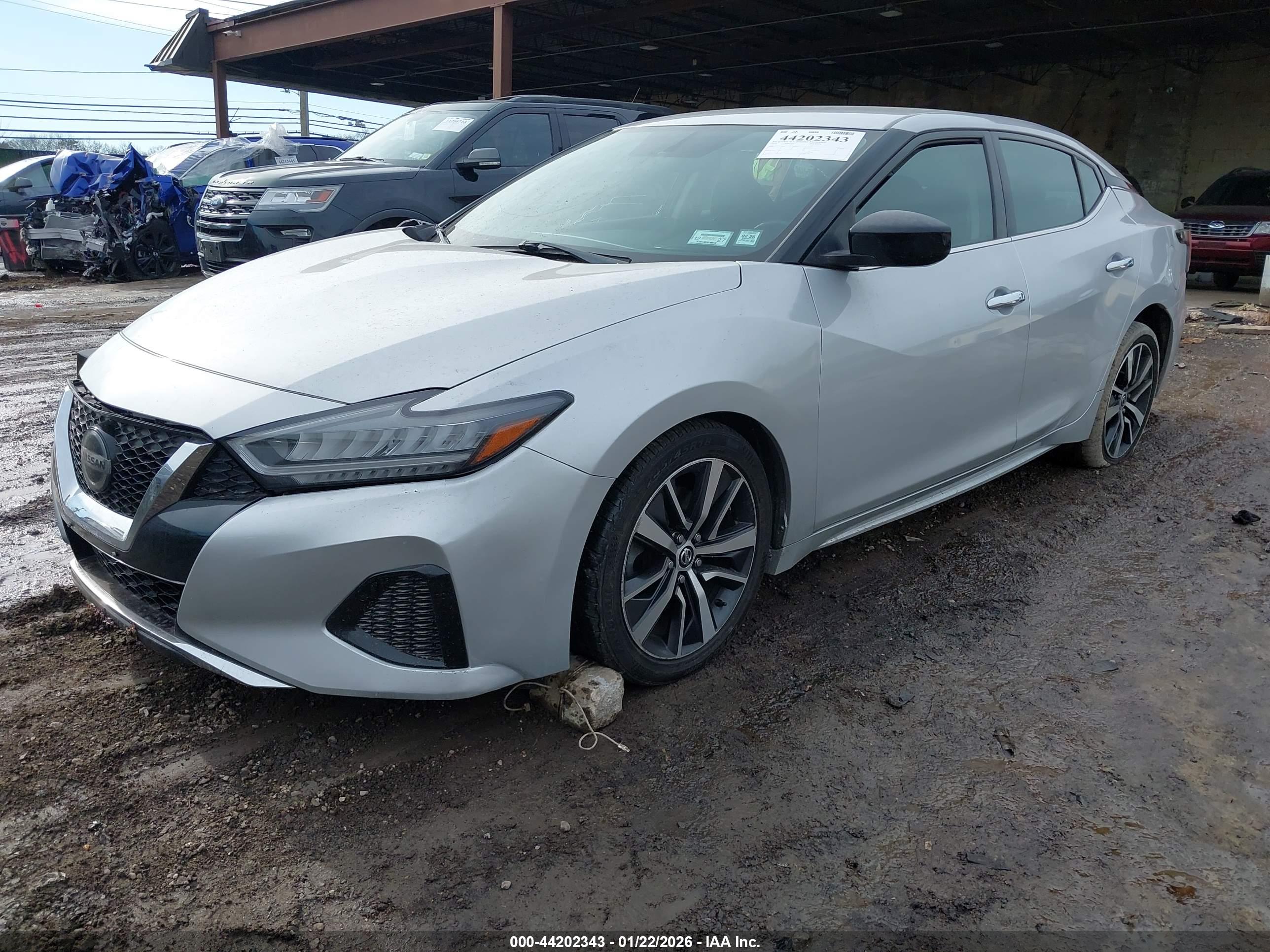 NISSAN MAXIMA image 2