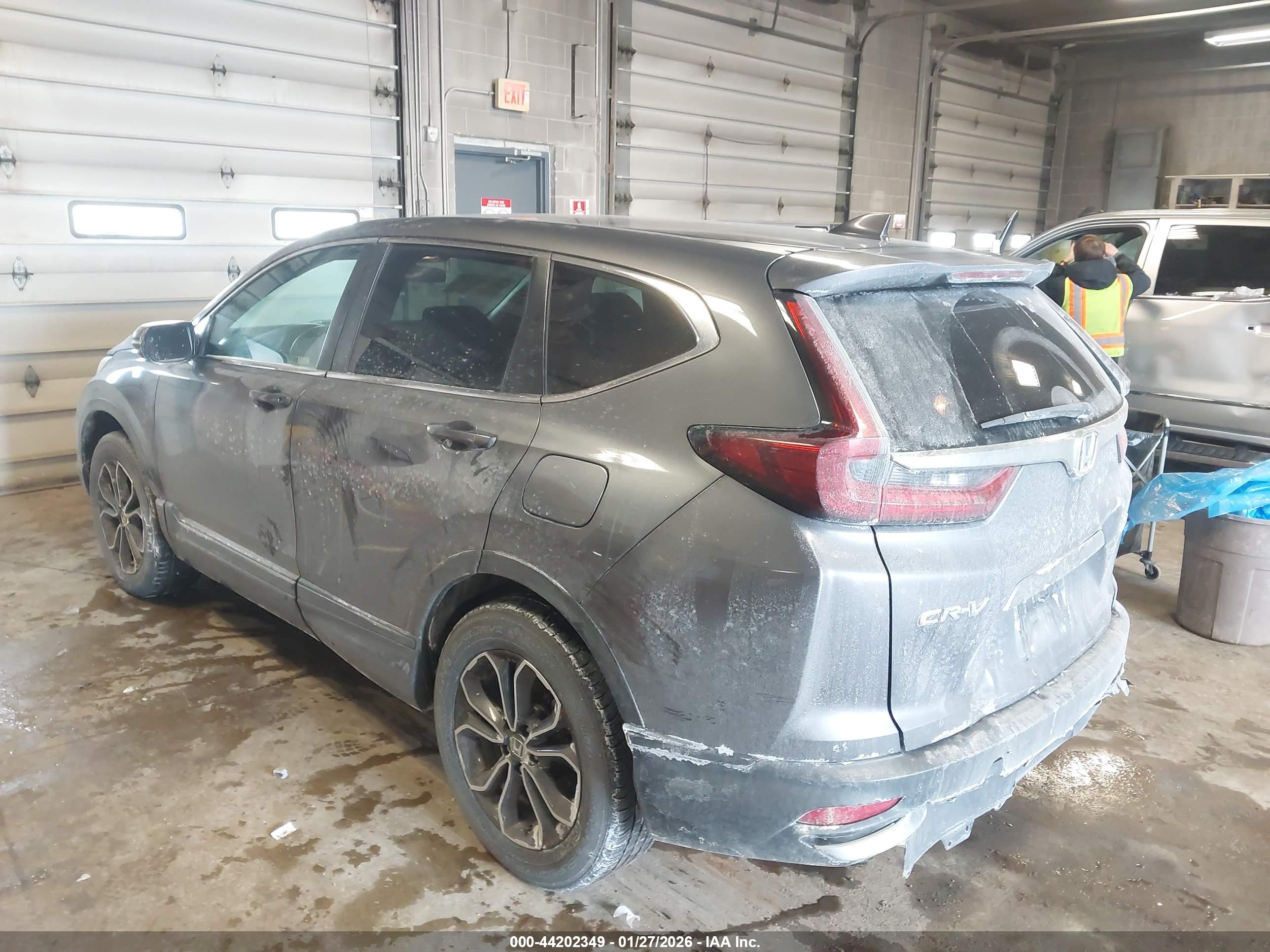 HONDA CR-V image 3
