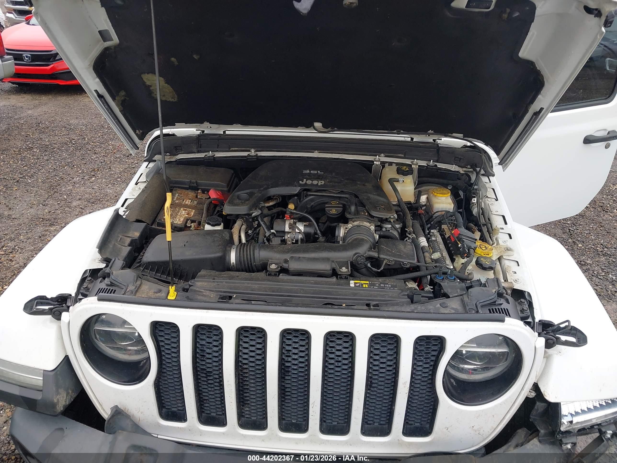 JEEP WRANGLER image 10