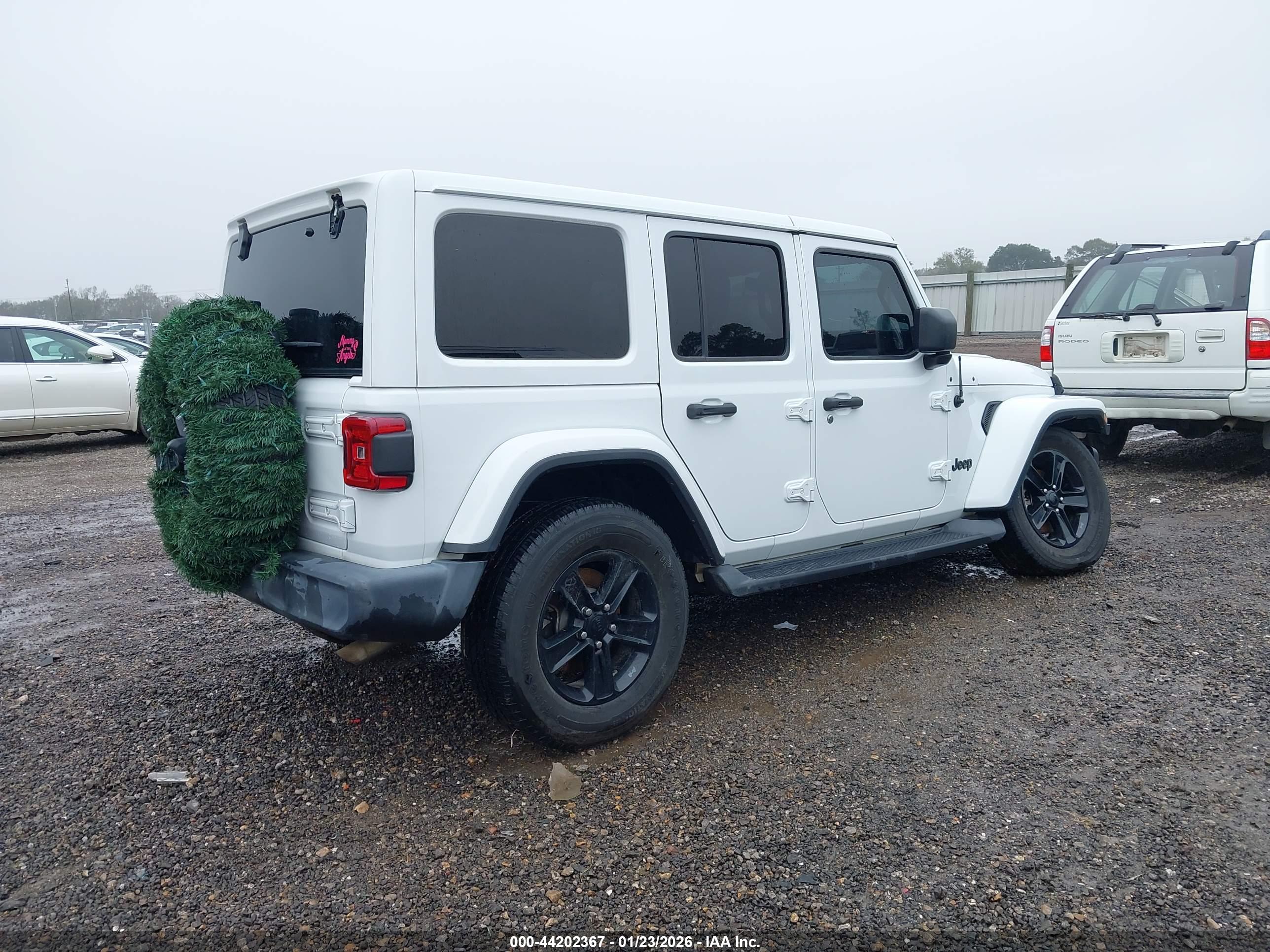 JEEP WRANGLER image 4