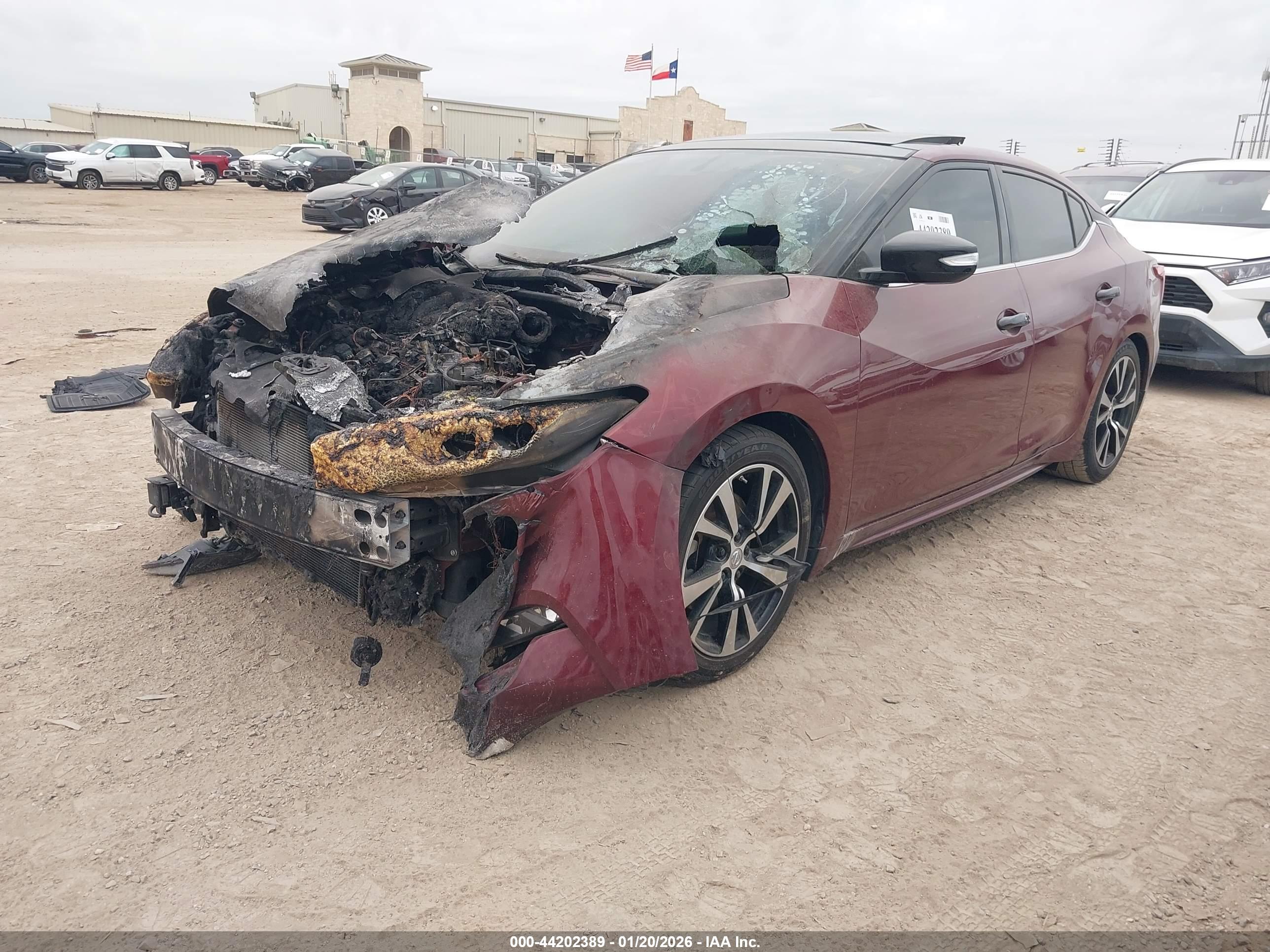 NISSAN MAXIMA image 2
