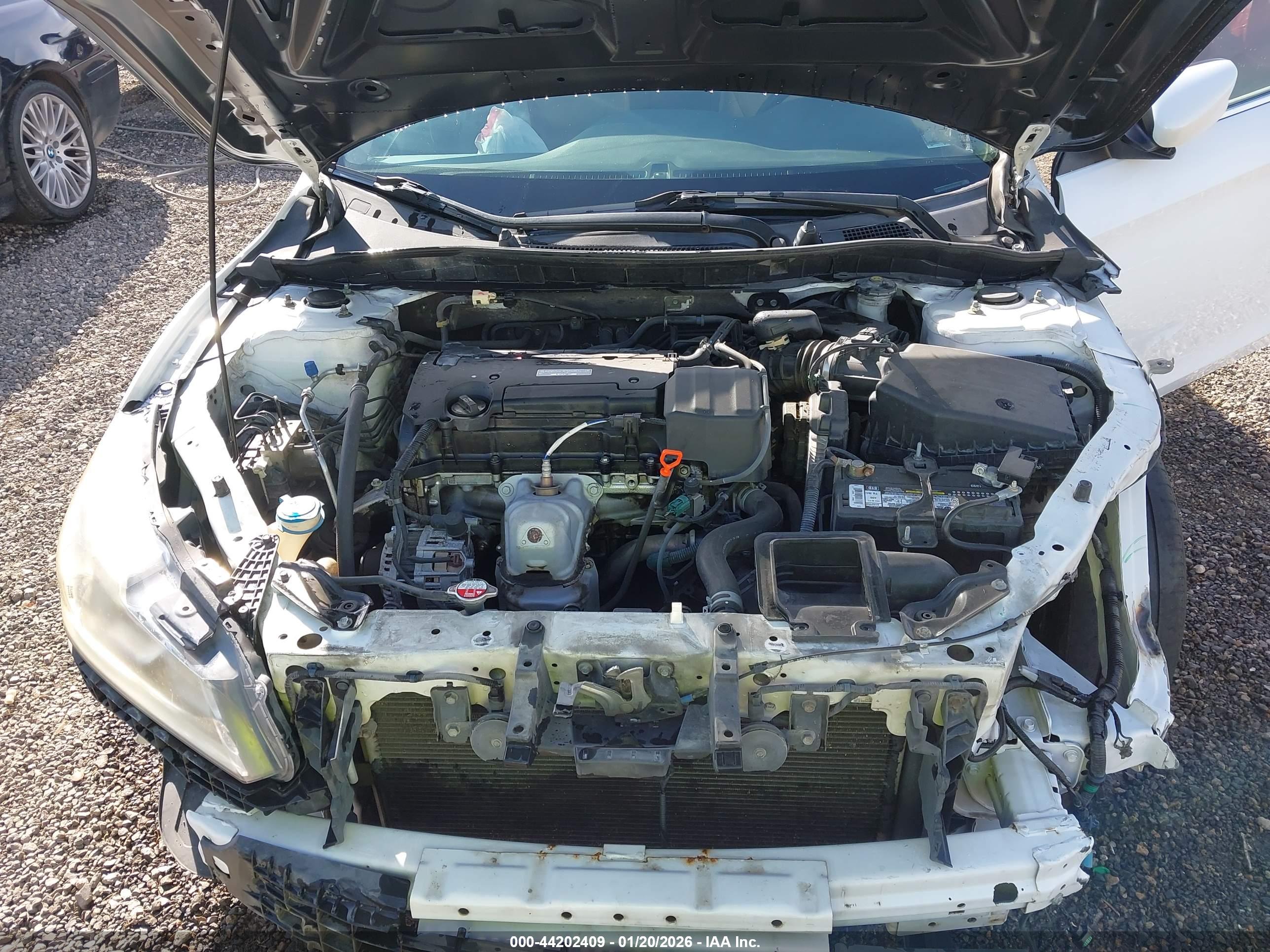 HONDA ACCORD image 10