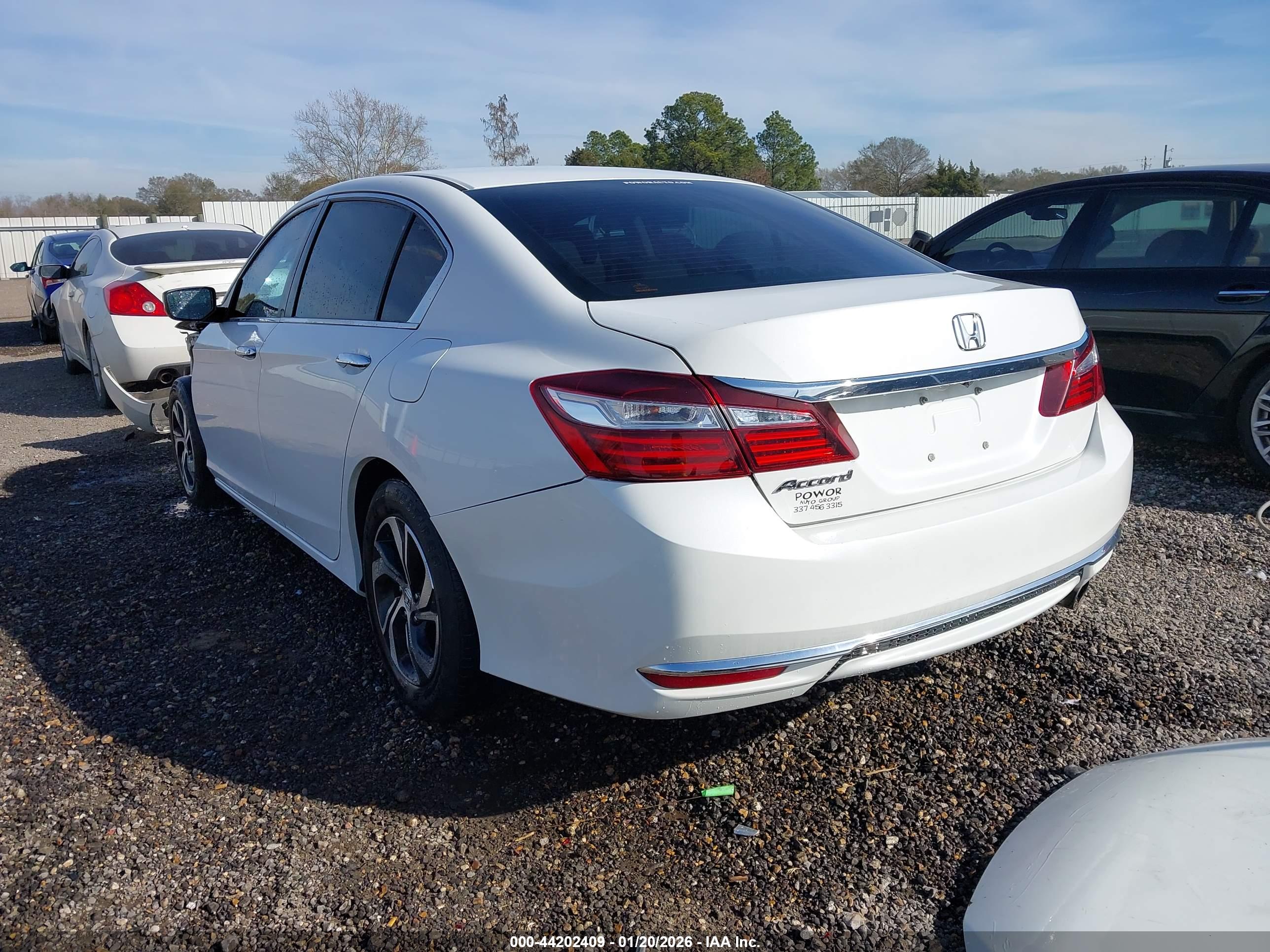 HONDA ACCORD image 3