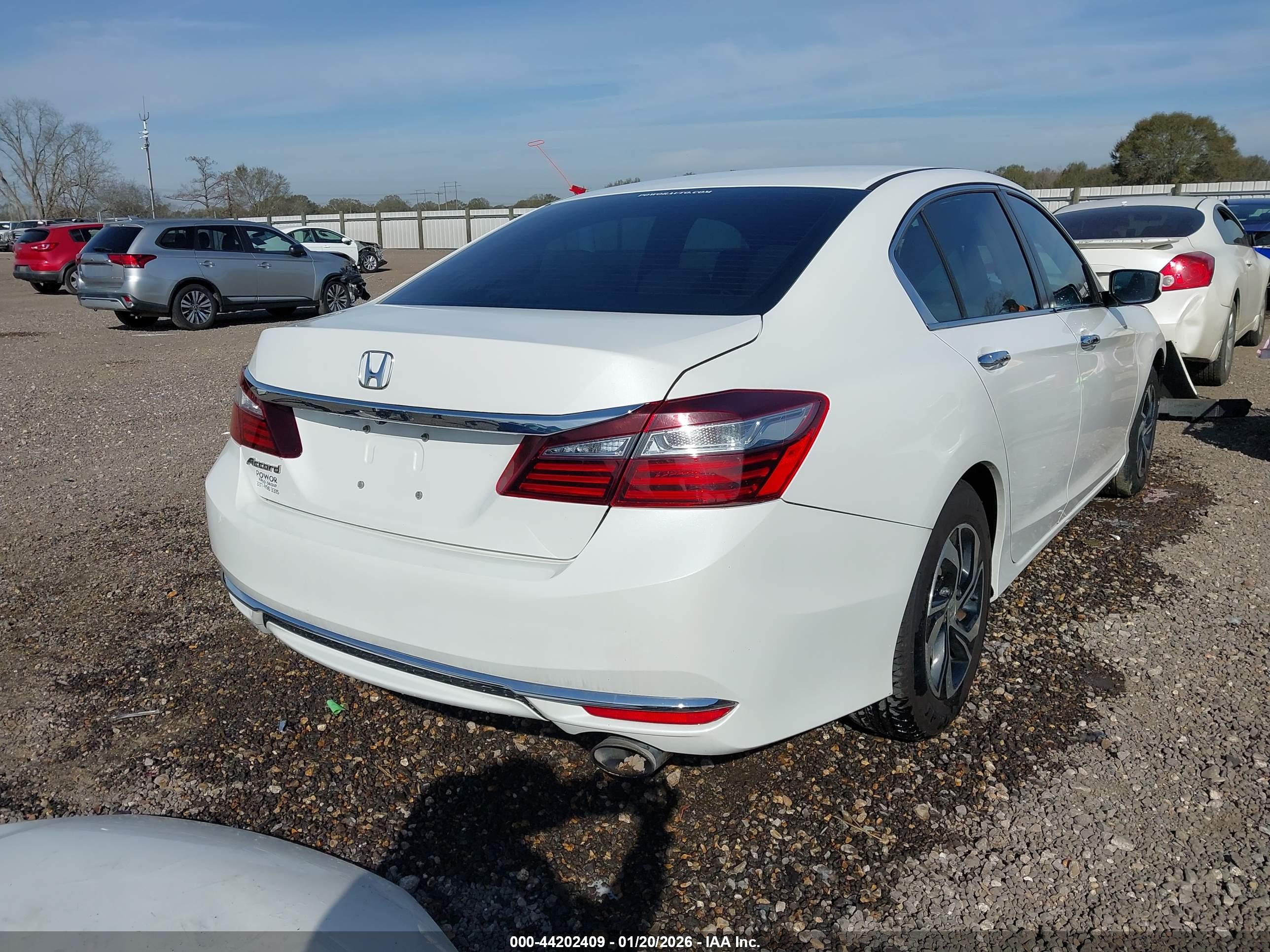 HONDA ACCORD image 4