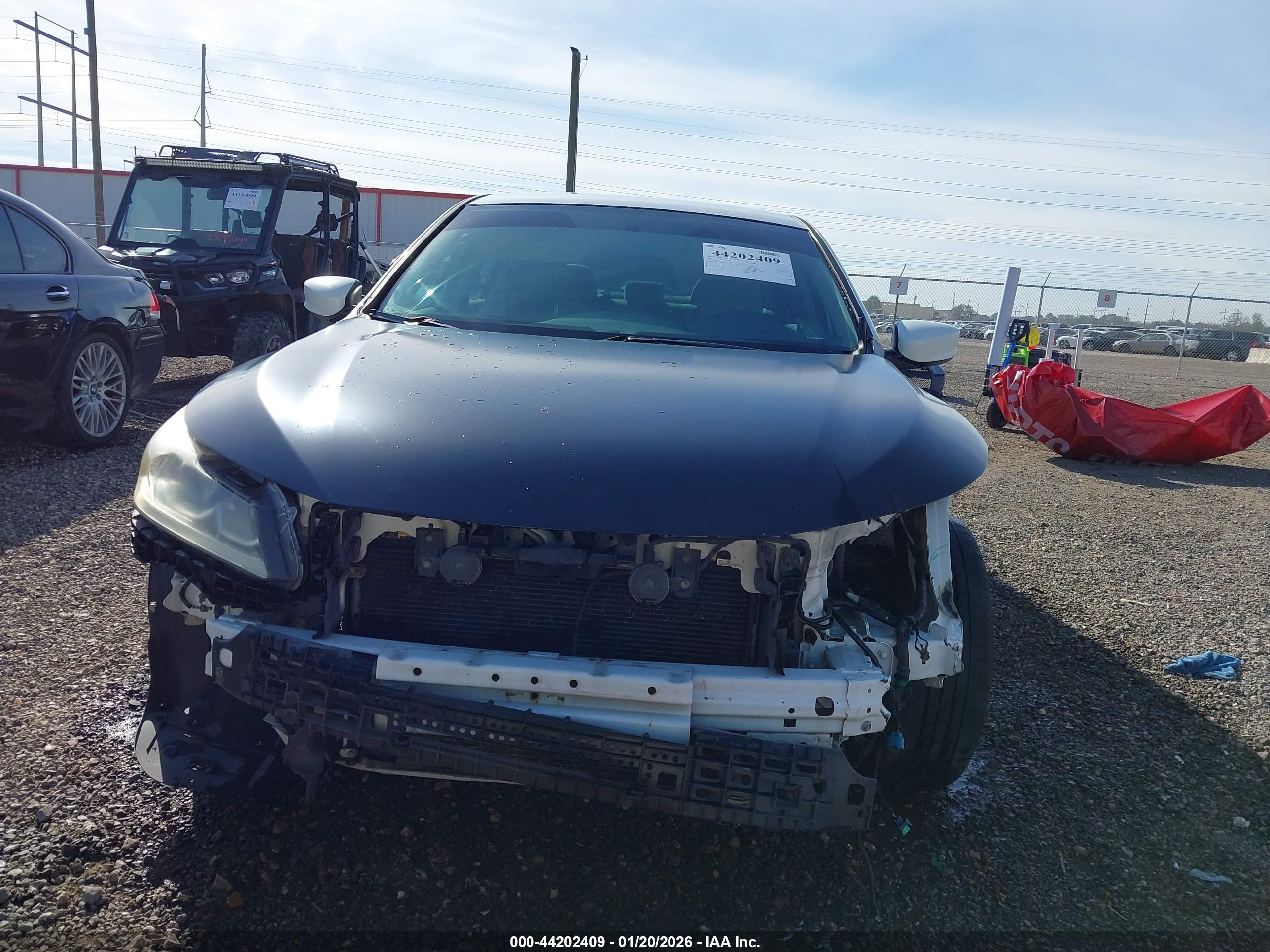 HONDA ACCORD image 6
