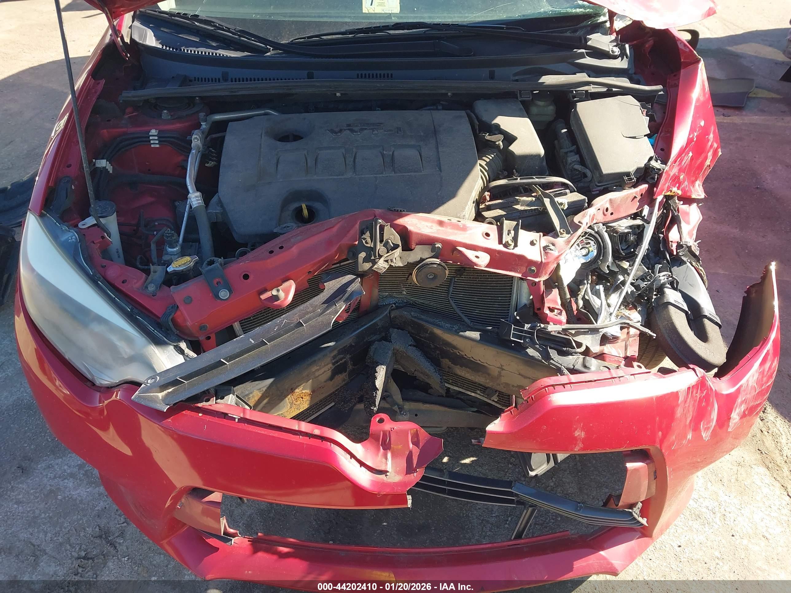 TOYOTA COROLLA image 10