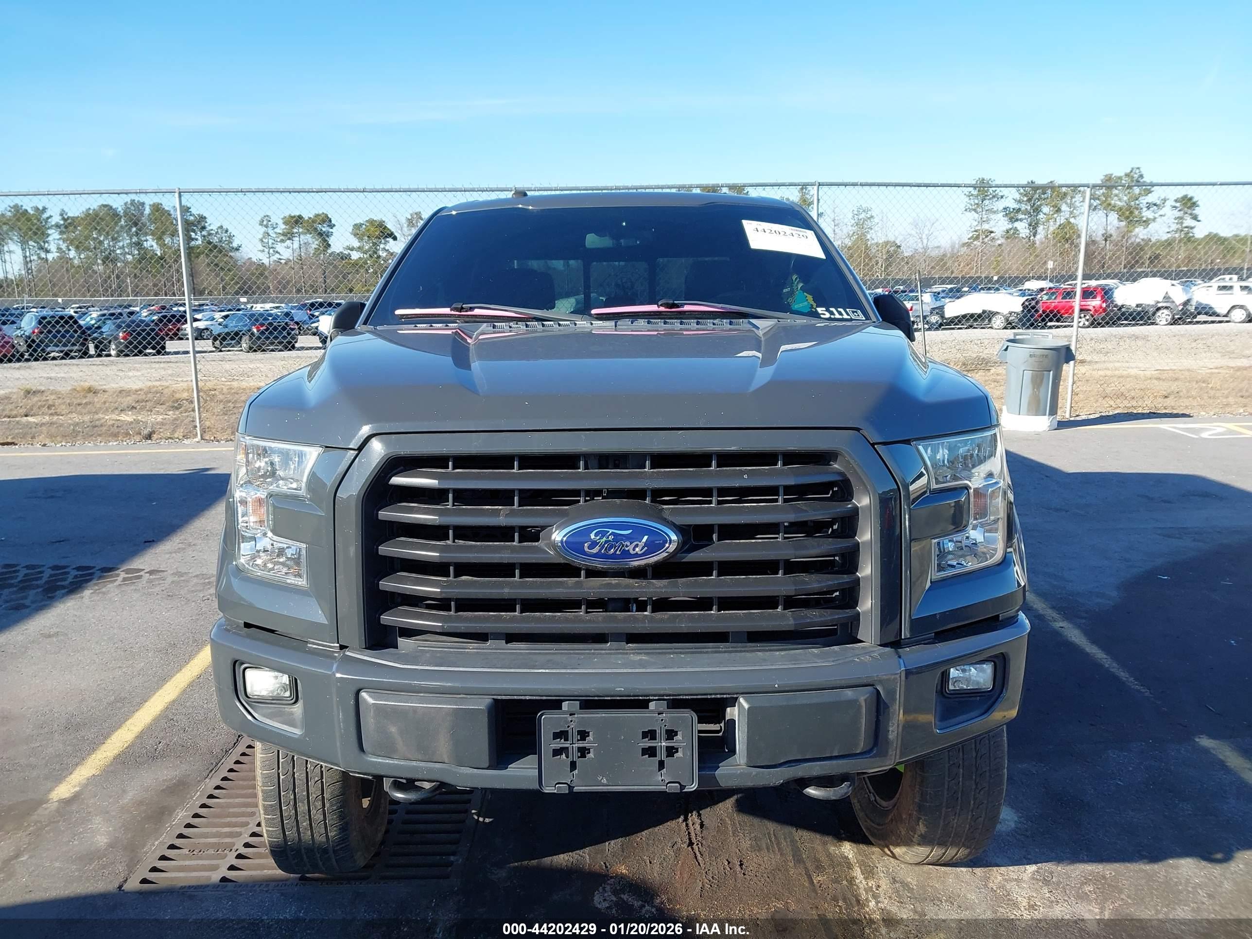 FORD F-150 image 6
