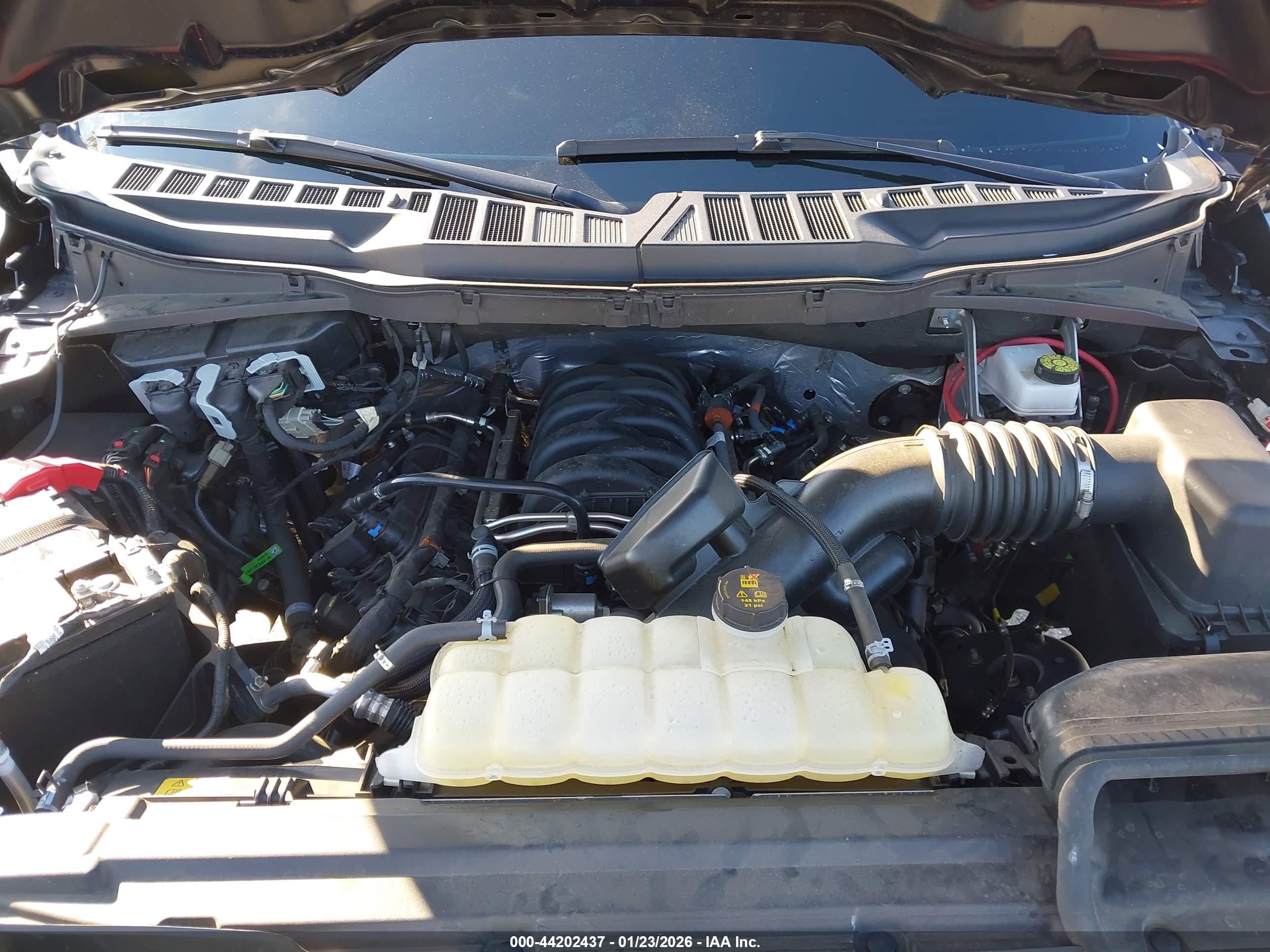 FORD F-150 image 10